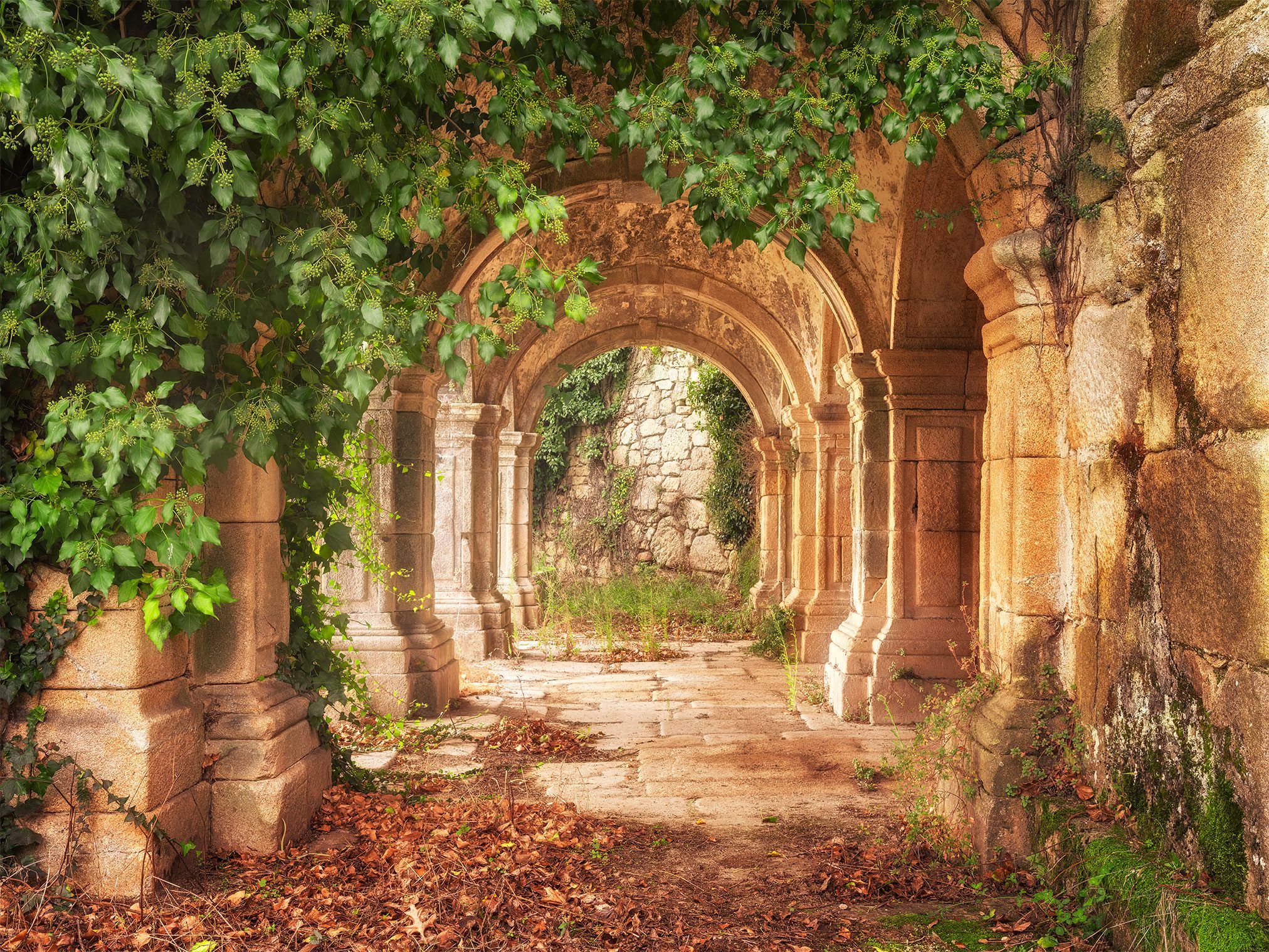 Arcaded passage of an old winery in the Douro Valley, Portugal