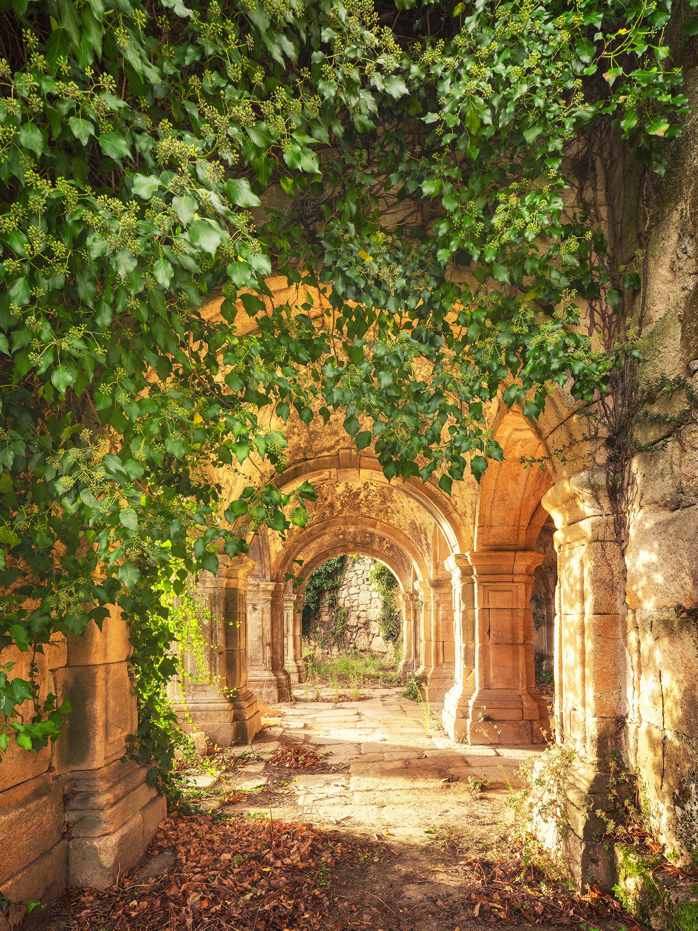 Ivy-covered archway of an old winery in Portugal