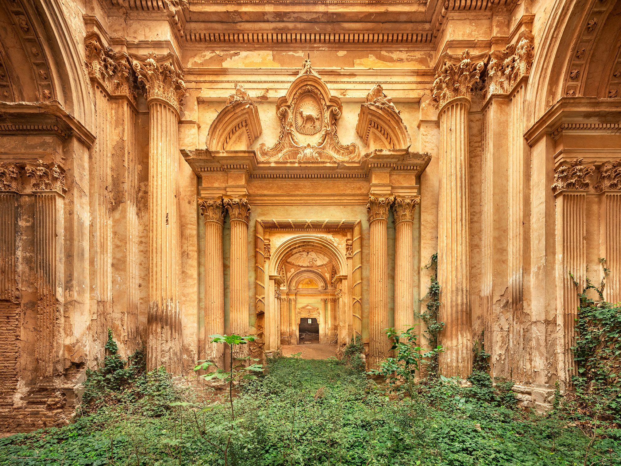 Overgrown church nave with a heraldic relief in Spain