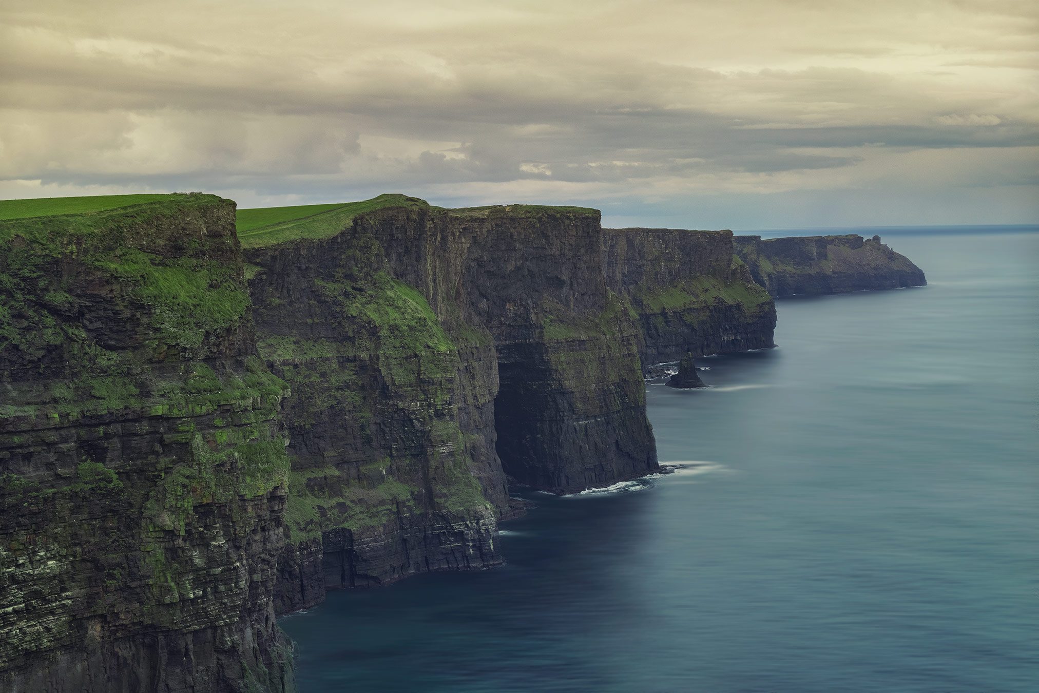 Grasbewachsene Steilküste über dem Meer bei den Cliffs of Moher, Irland