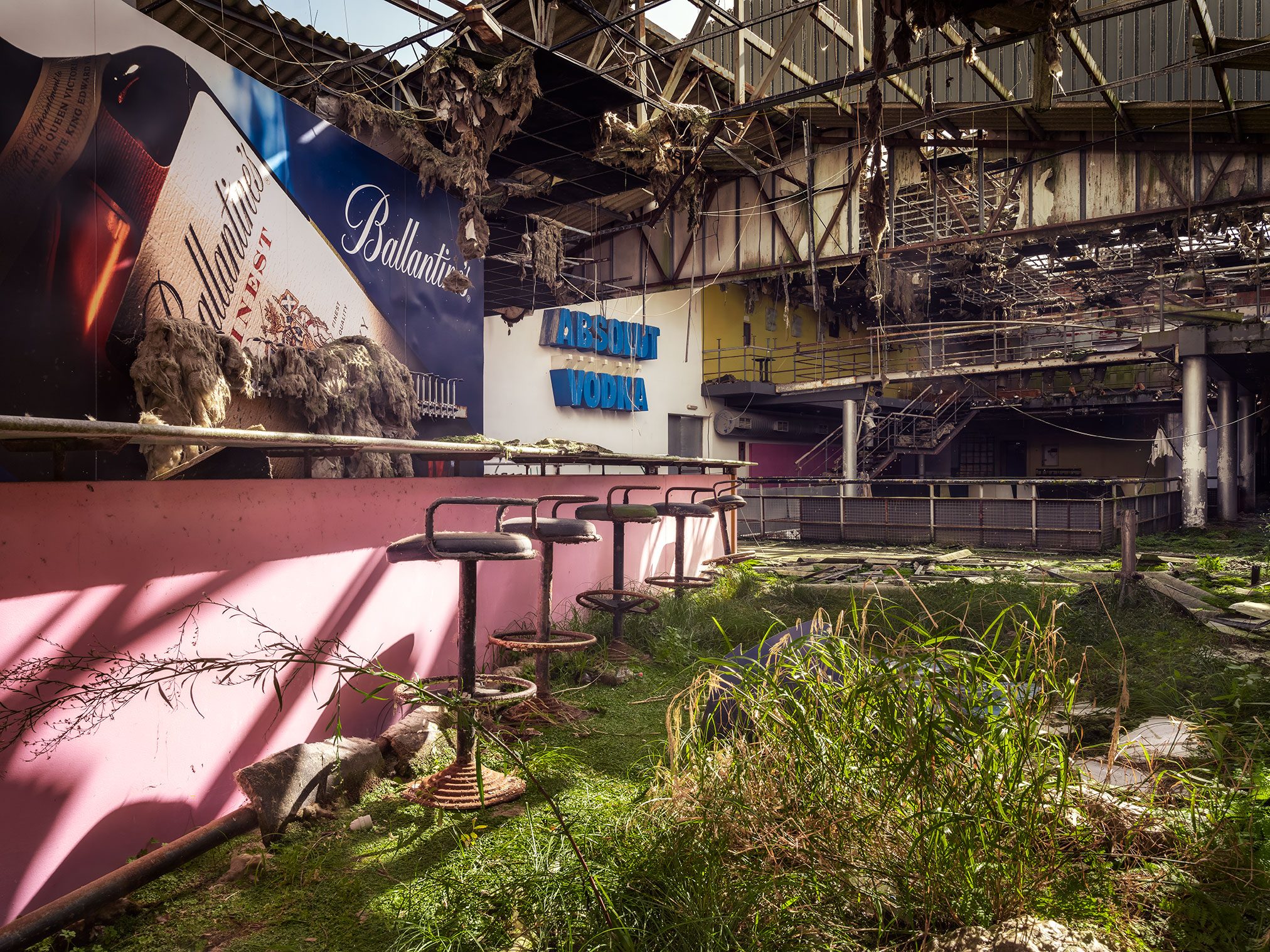 Overgrown bar in an abandoned discotheque in Portugal