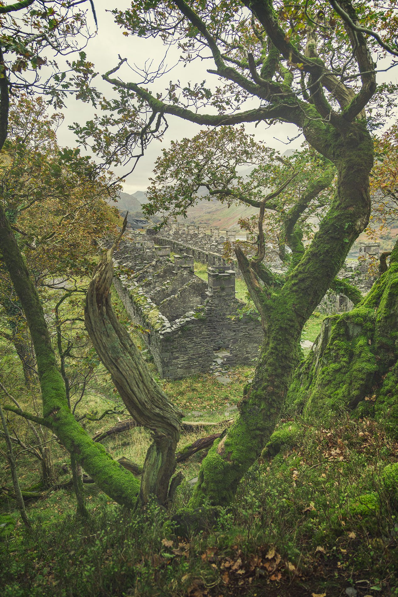 Ruinensiedlung einer alten Schiefermine in den Bergen von Wales
