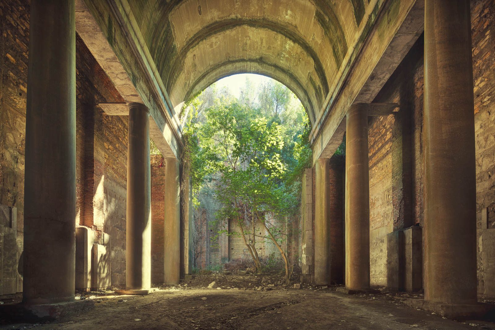 Tonnengewölbe mit Baum im Durchblick in einem Mausoleum in Italien