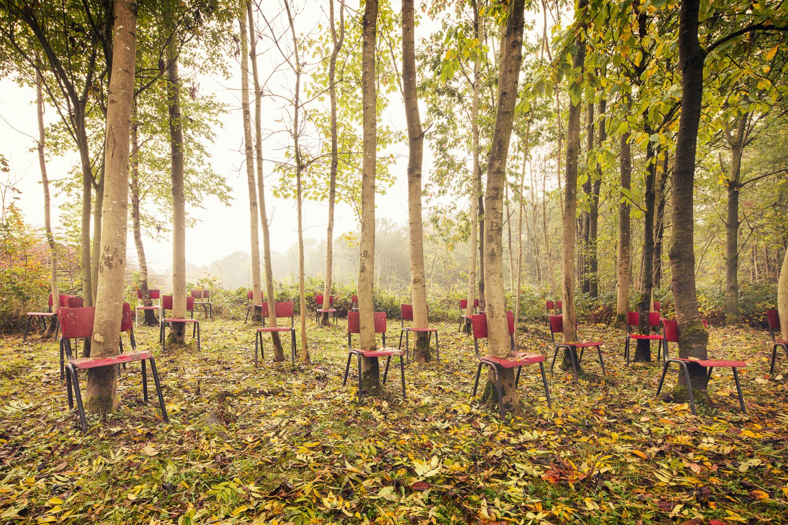 Rote Stühle als Installation zwischen Bäumen in einem Wald in Belgien