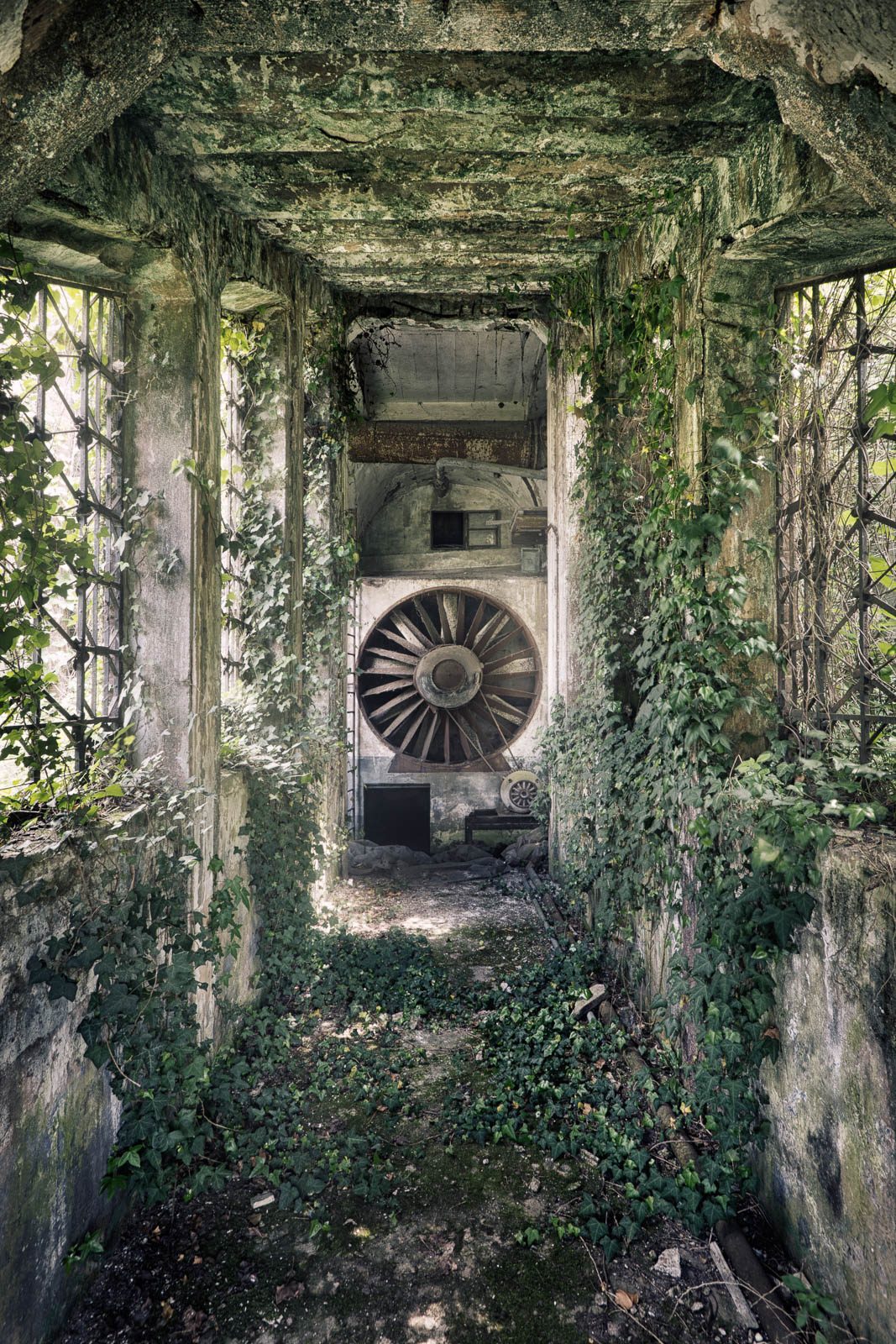 Turbine at the end of an ivy-covered corridor in a hydroelectric plant, Italy