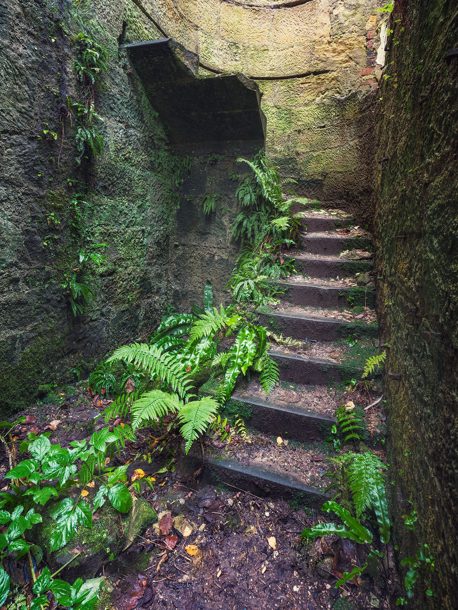 Steinerne Wendeltreppe in einer Turmruine in Schottland