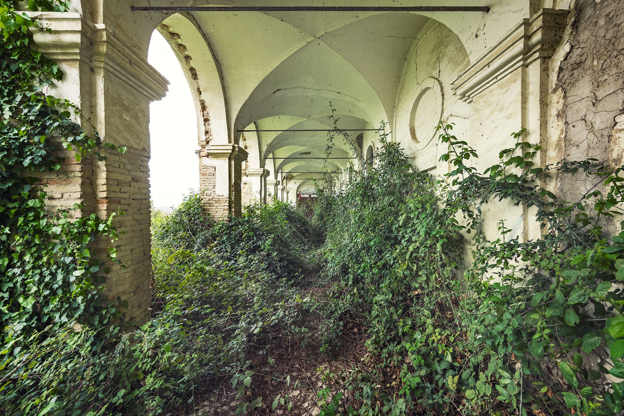 Efeuüberwachsener Arkadengang an einer alten Kirche in Italien