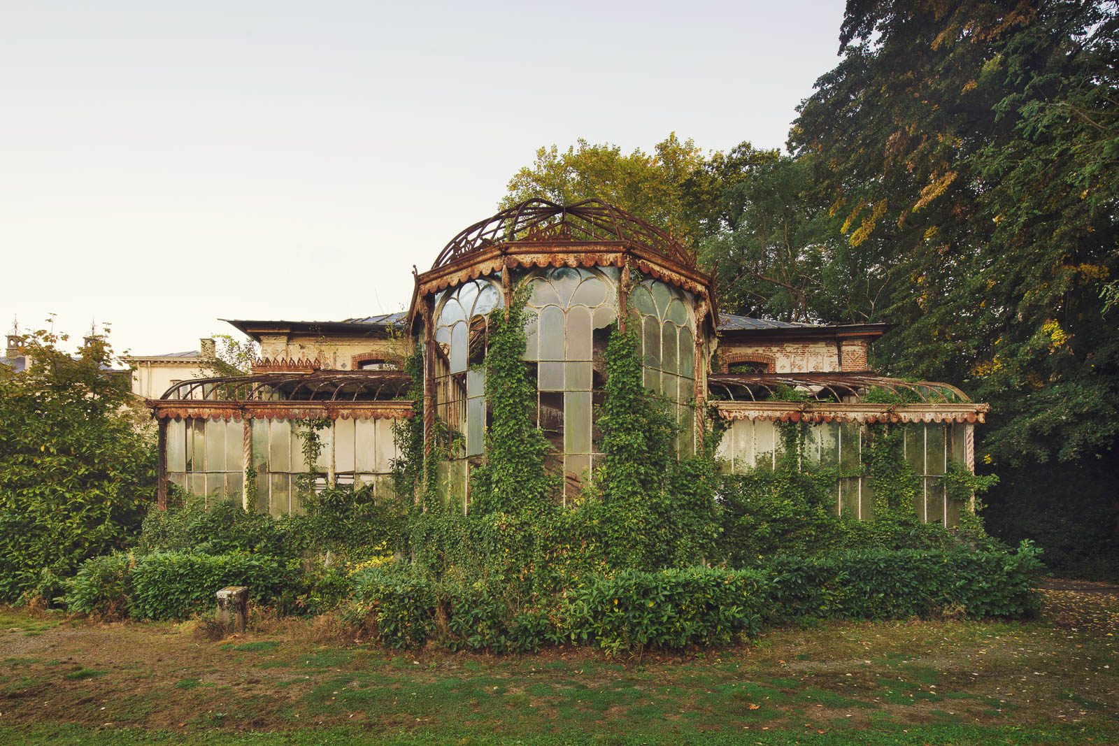 Von Efeu überwachsenes Gewächshaus eines Château in Belgien