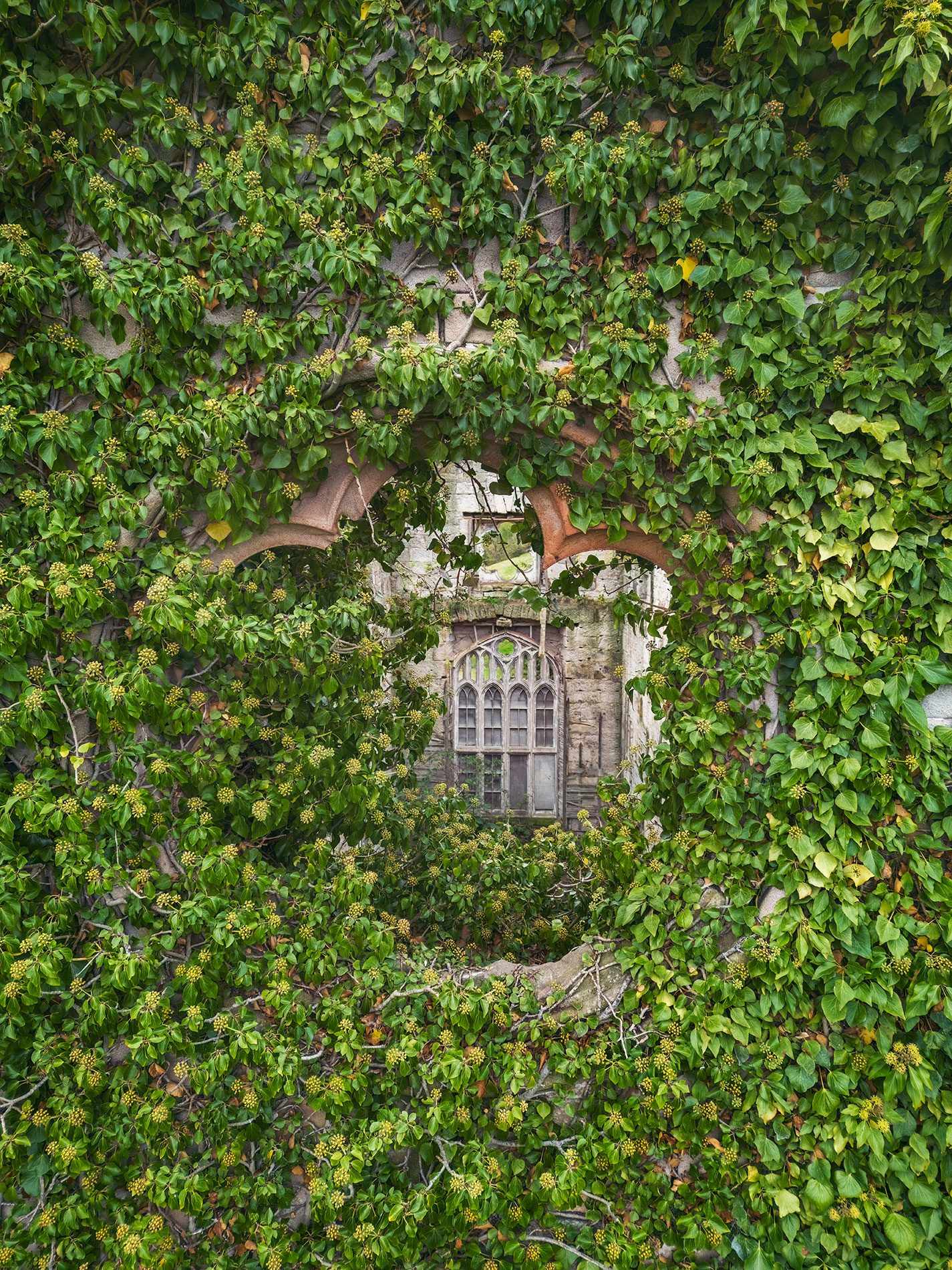 Gotischer Fensterbogen in der Ruine eines Anwesens in Schottland