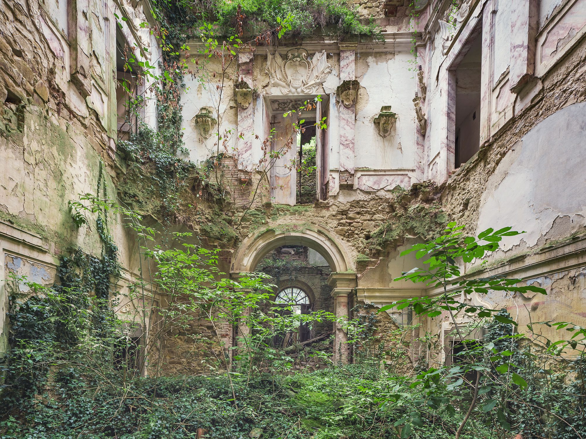 Plant-overgrown courtyard of a villa in Tuscany, Italy