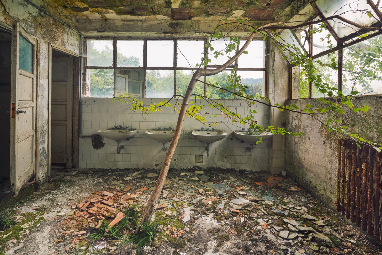 Waschraum mit hereinwachsendem Baum in einem Sanatorium am Lago Maggiore, Italien