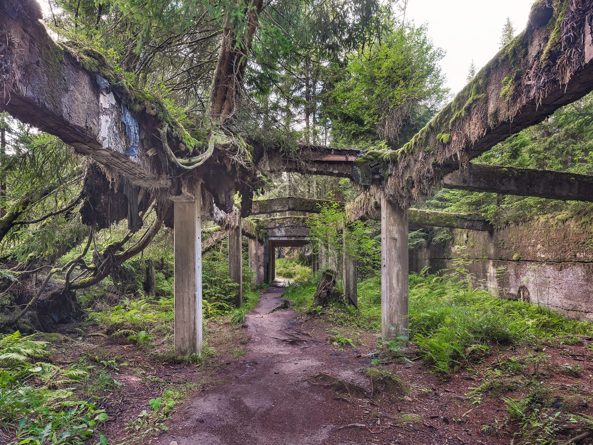 Überwachsene Förderanlage einer alten Mine in Tschechien
