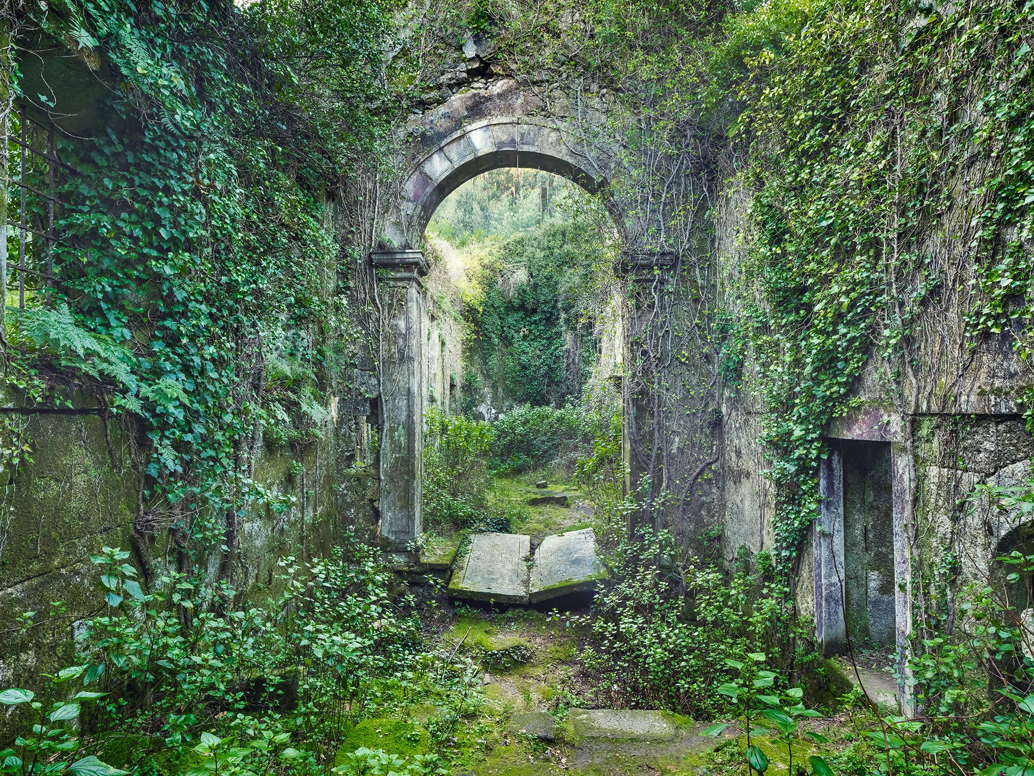 Ivy-covered archway of a monastery complex in Portugal