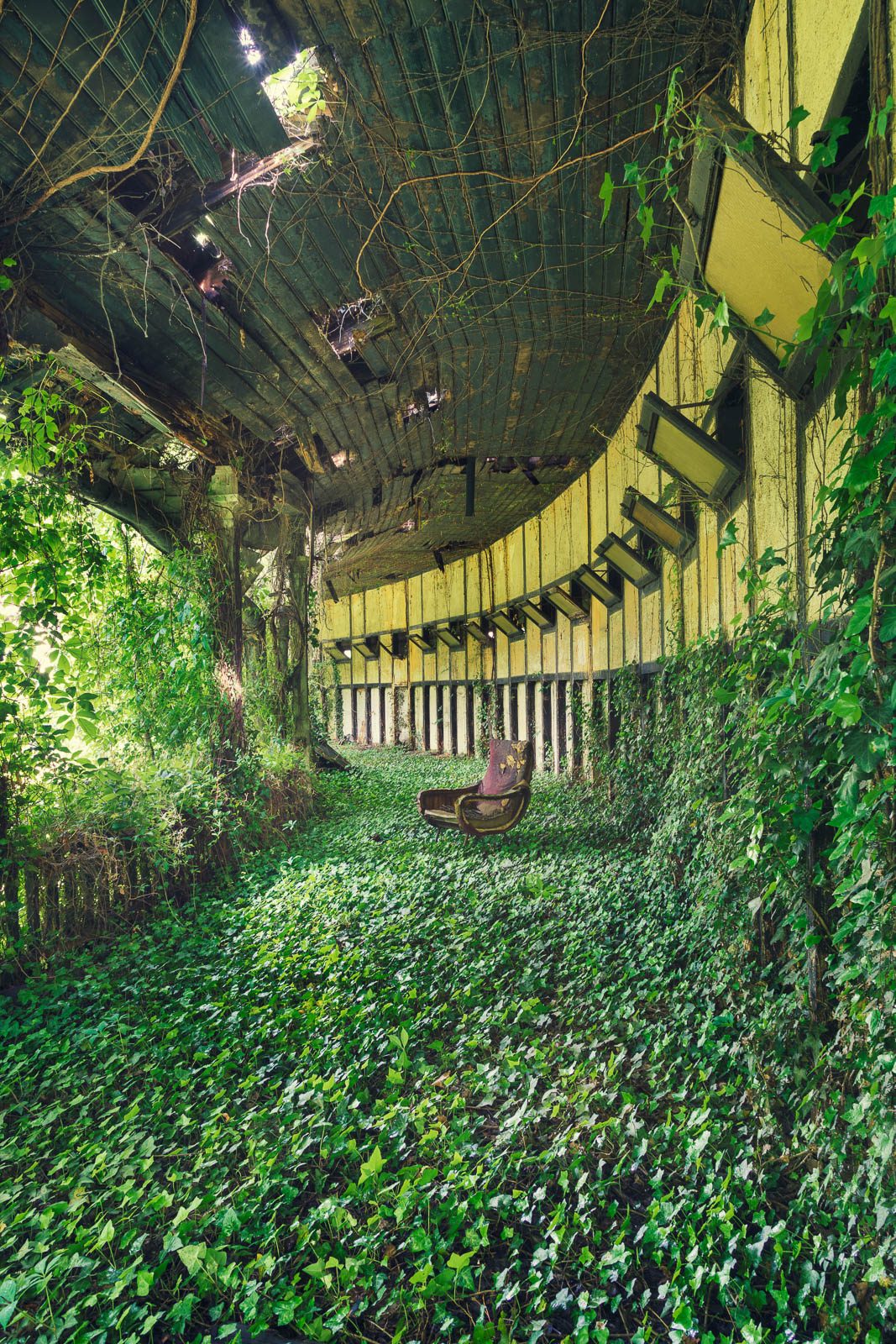 Efeuteppich in einem ehemaligen Saal eines Sanatoriums in Italien