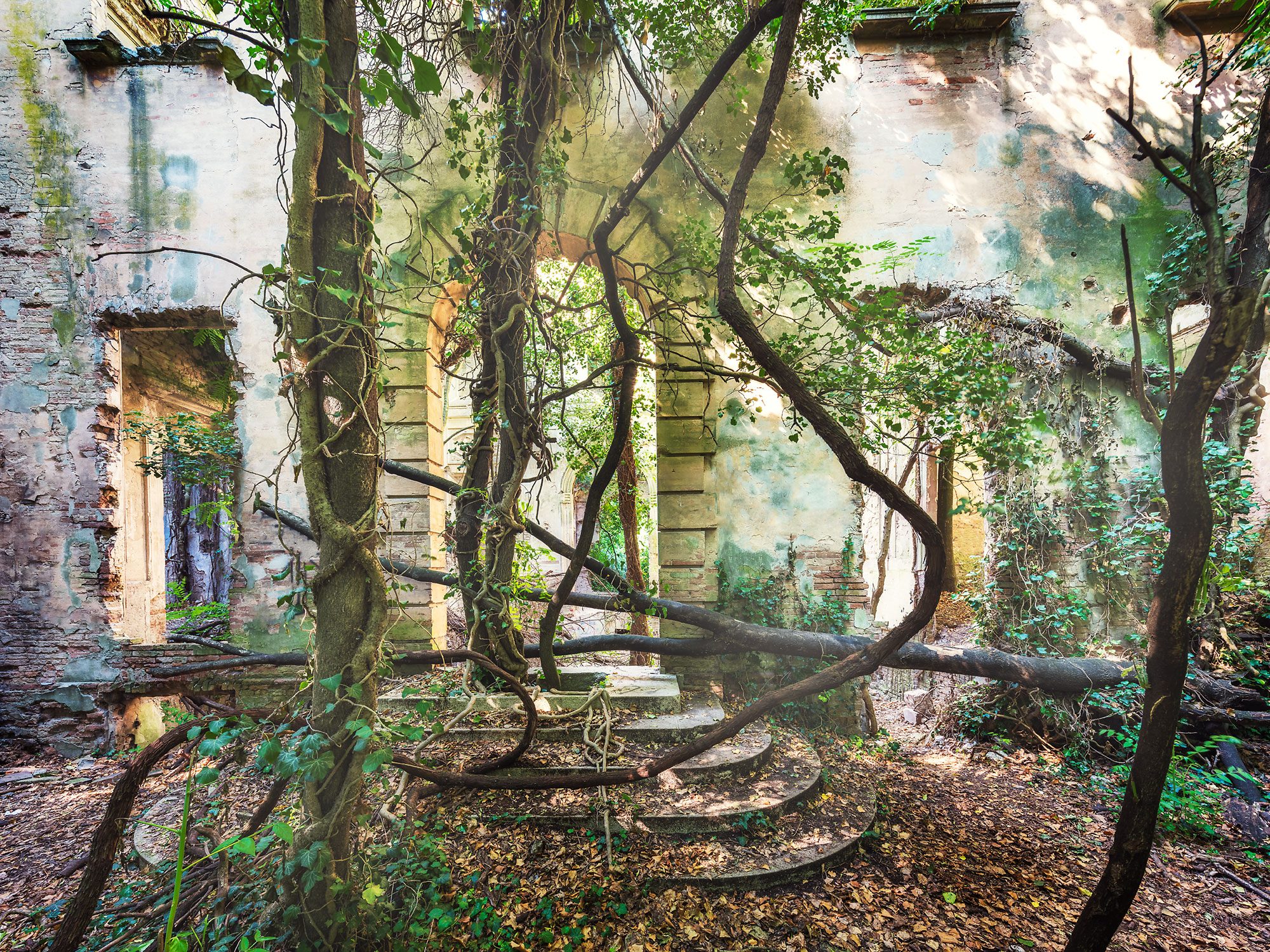 Verschlungene Ranken vor einer Treppenruine einer Villa in der Emilia-Romagna, Italien