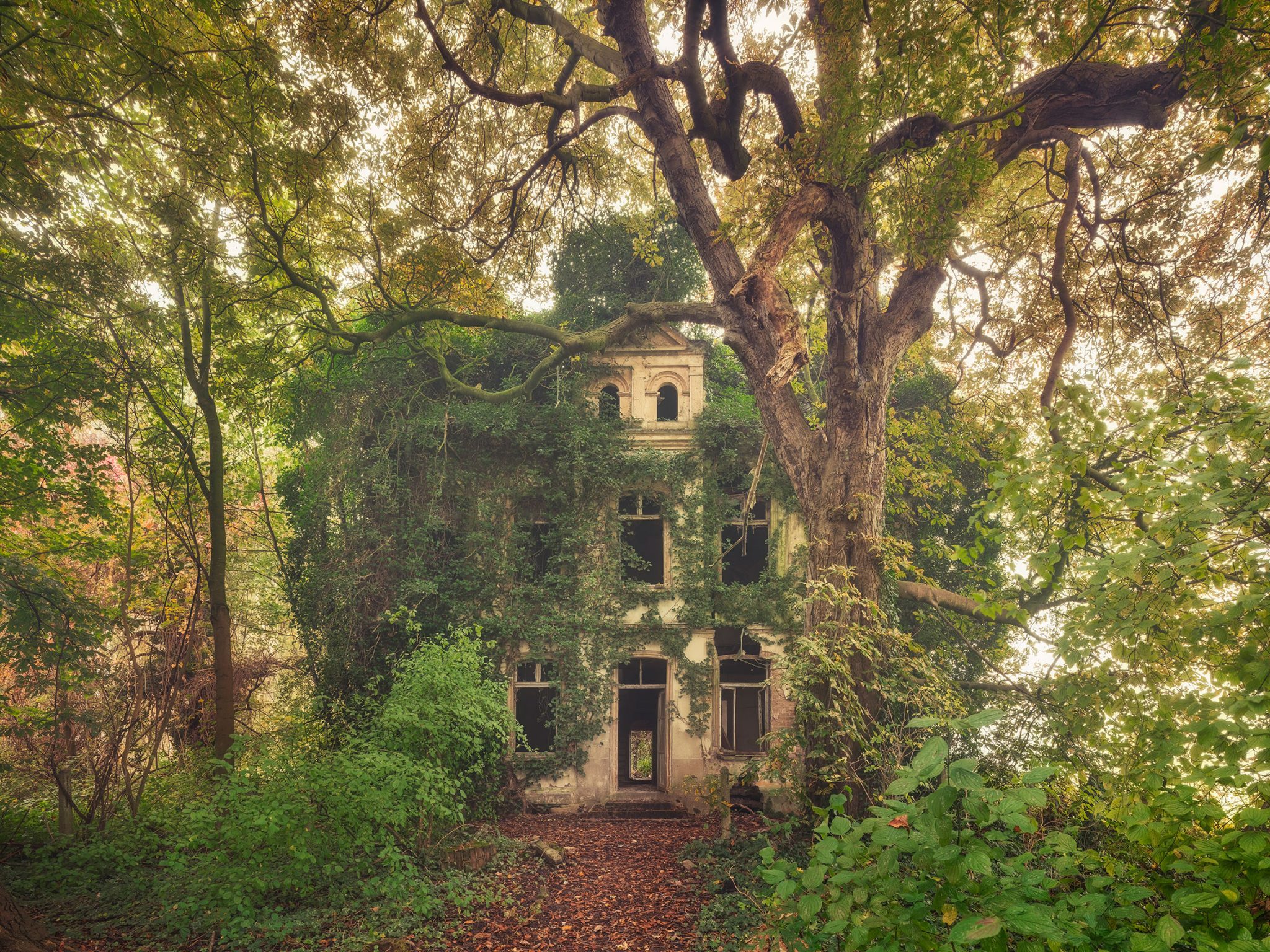 Villa einer alten Ziegelei hinter einem alten Baum am Niederrhein, Deutschland