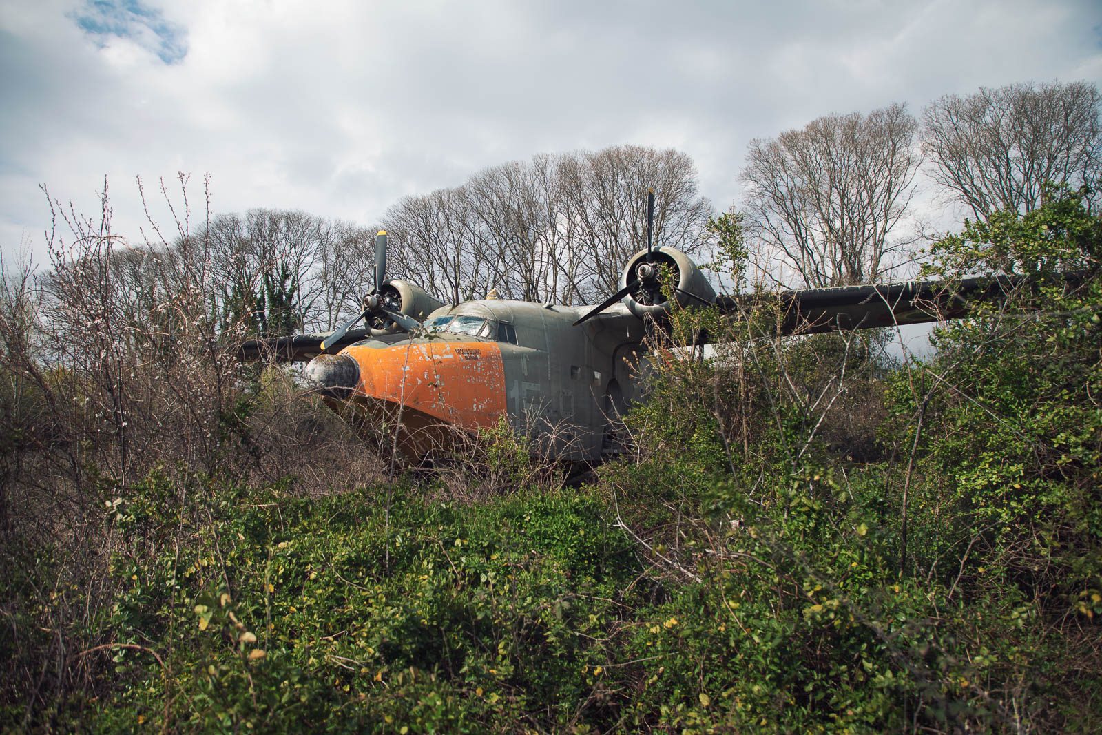 Twin-engine transport aircraft in dense scrub in Veneto, Italy