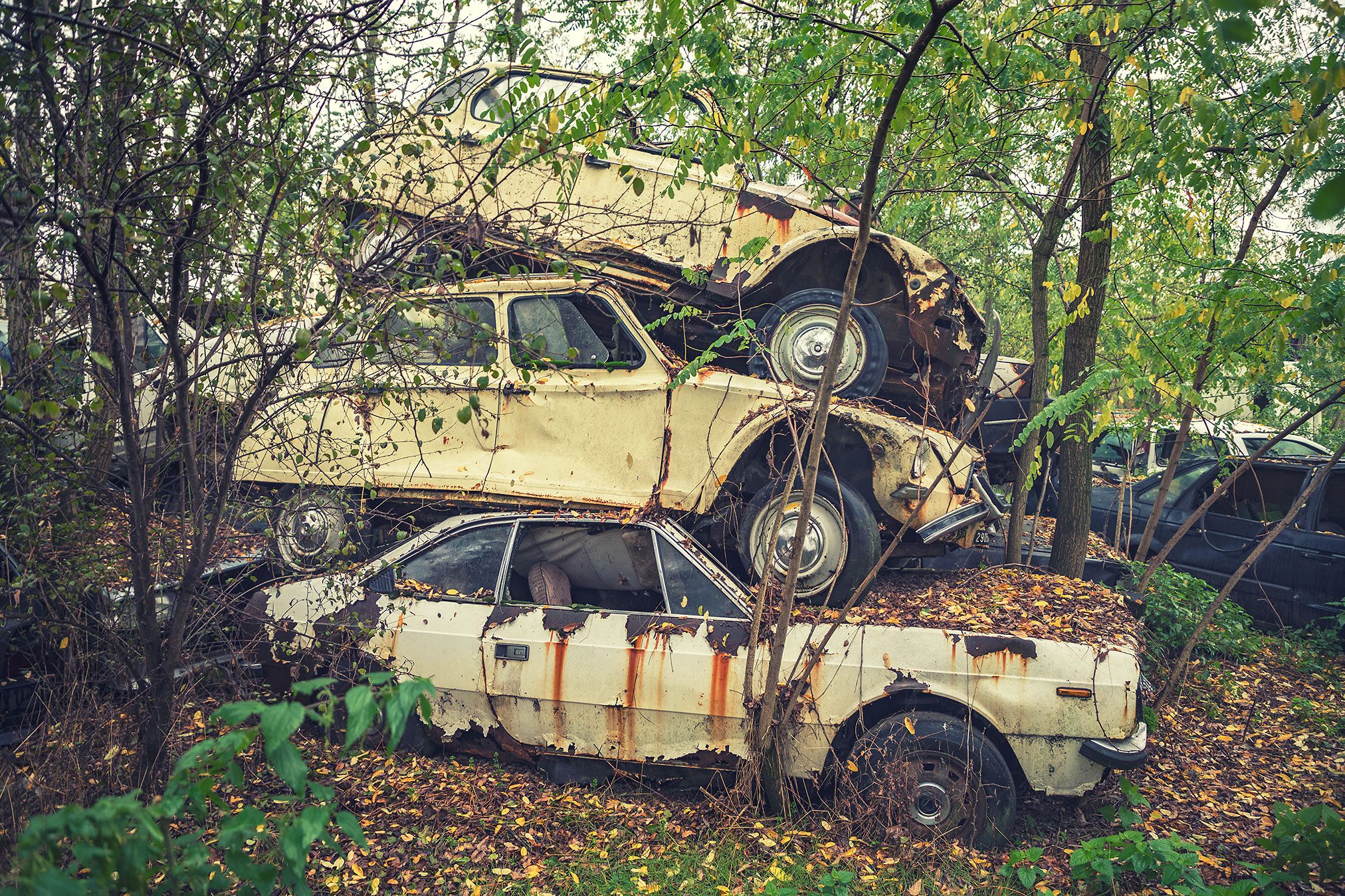 Stacked, rusting car wrecks among autumn trees in Italy