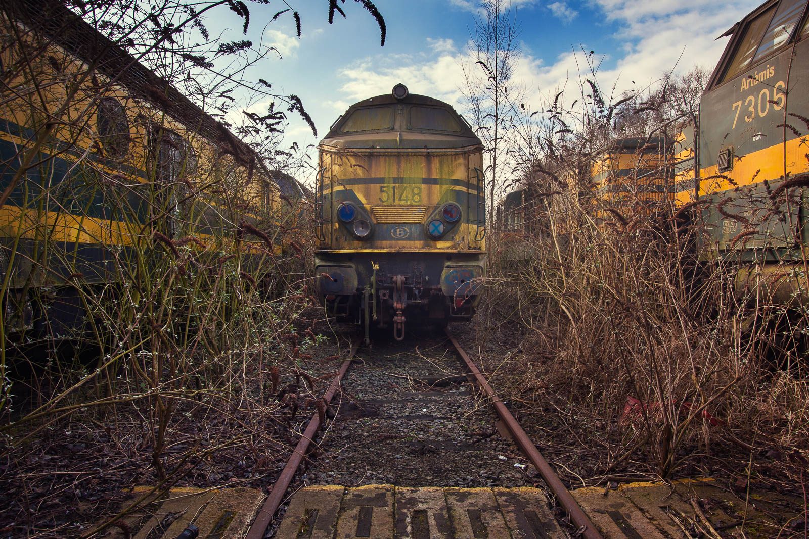 Two retired diesel locomotives on a siding in Belgium