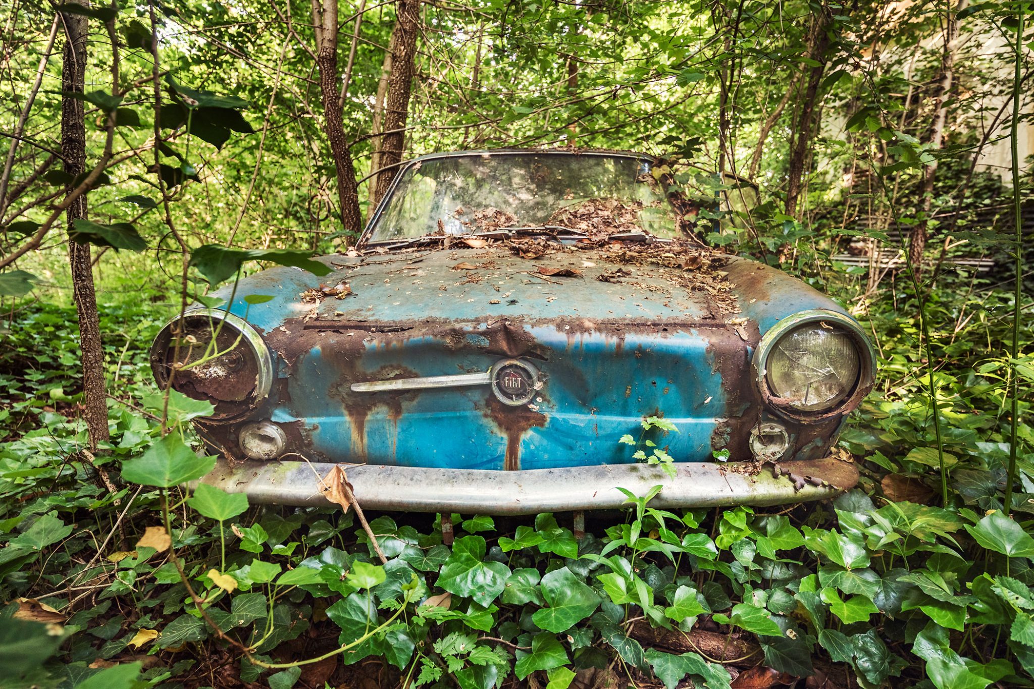 Rusting Fiat covered in leaves in the woods of an abandoned villa in Italy