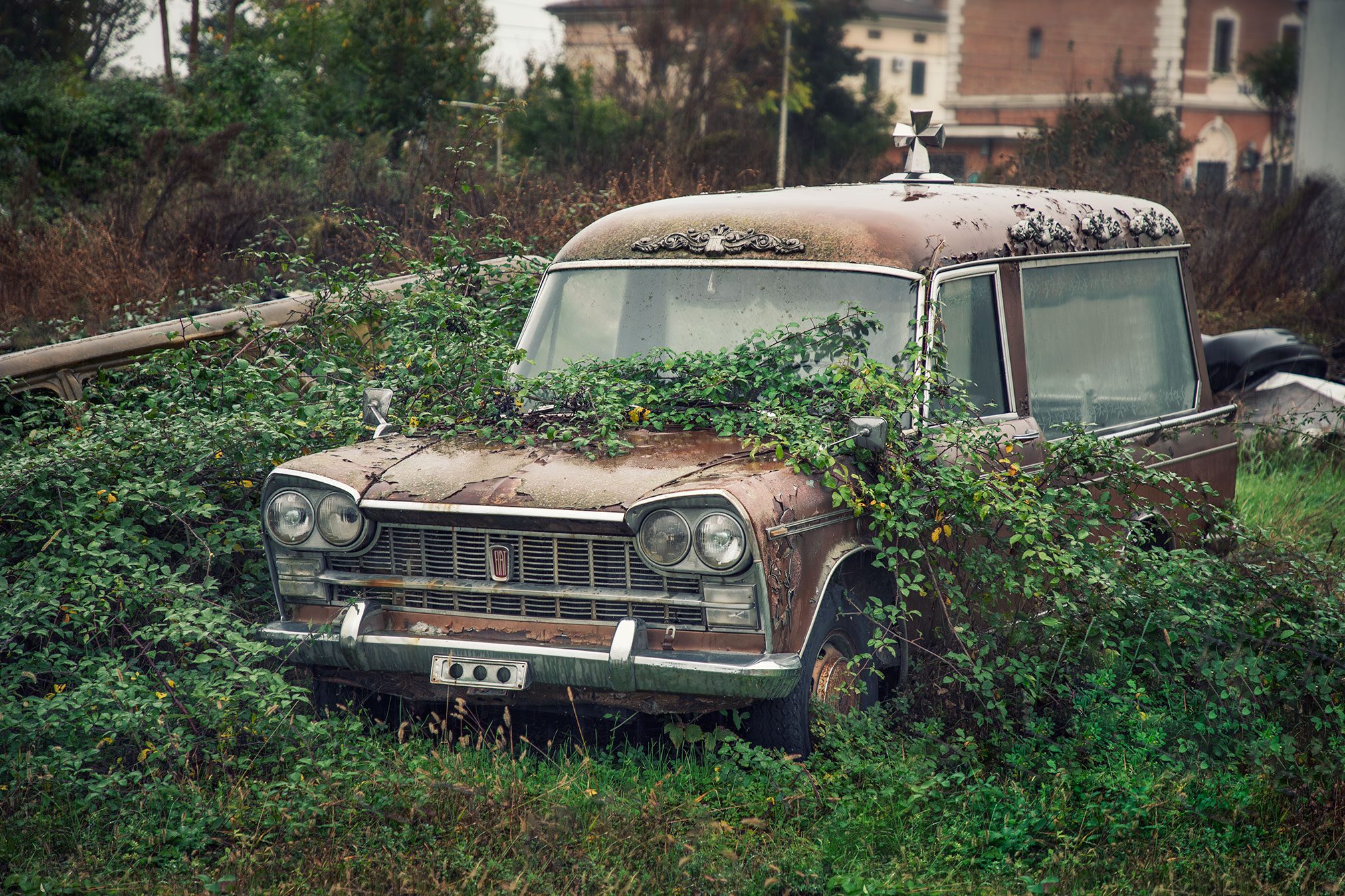 Forgotten hearse with a cross ornament, overgrown with ivy, in Italy