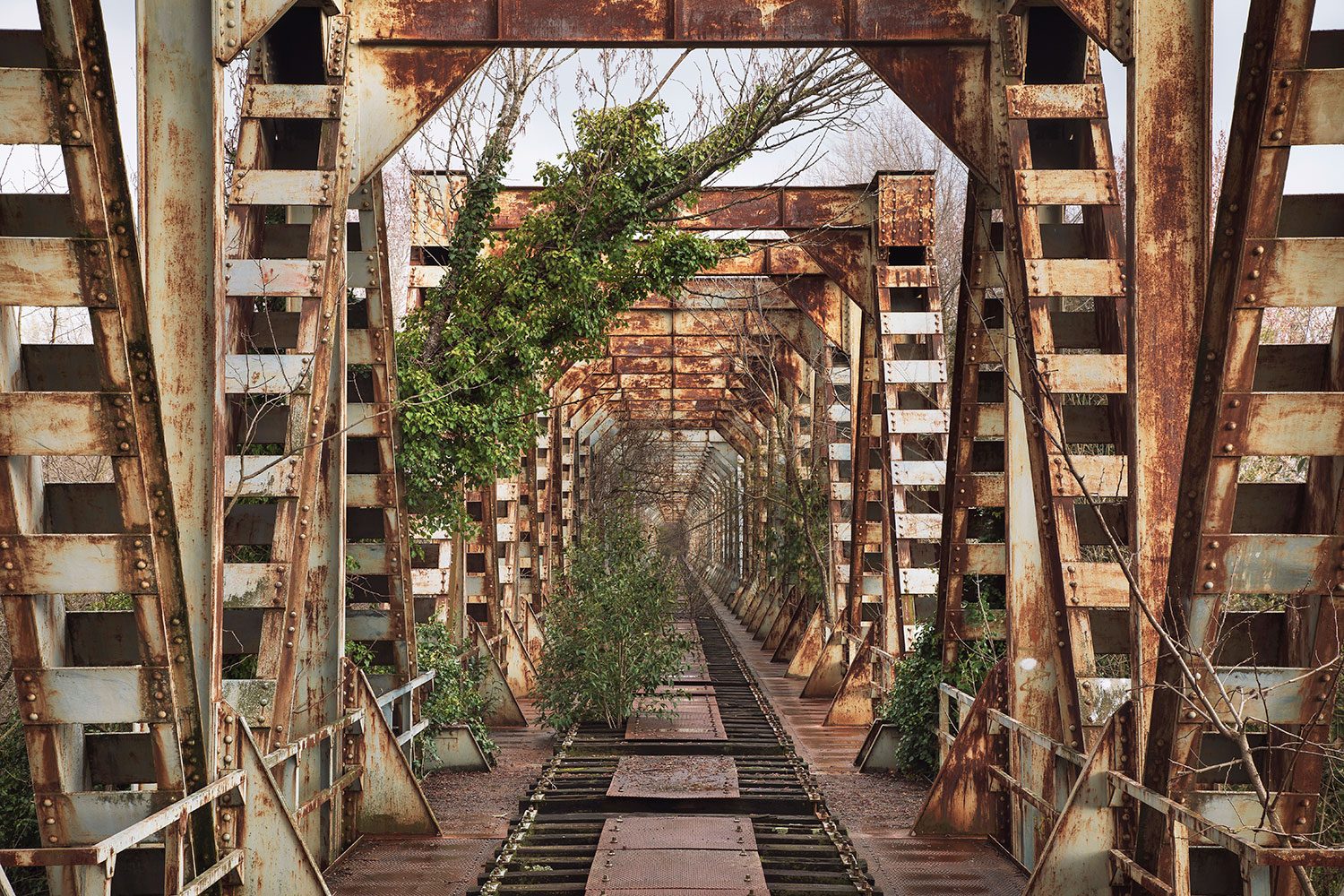 Forgotten railway bridge with hanging vines in Veneto, Italy