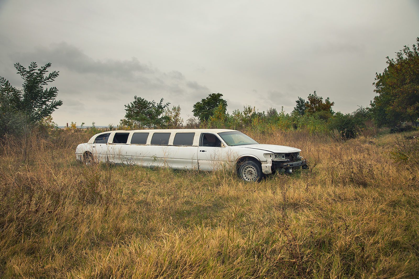 Weiße Stretchlimousine in einem trockenen Grasfeld in Rumänien