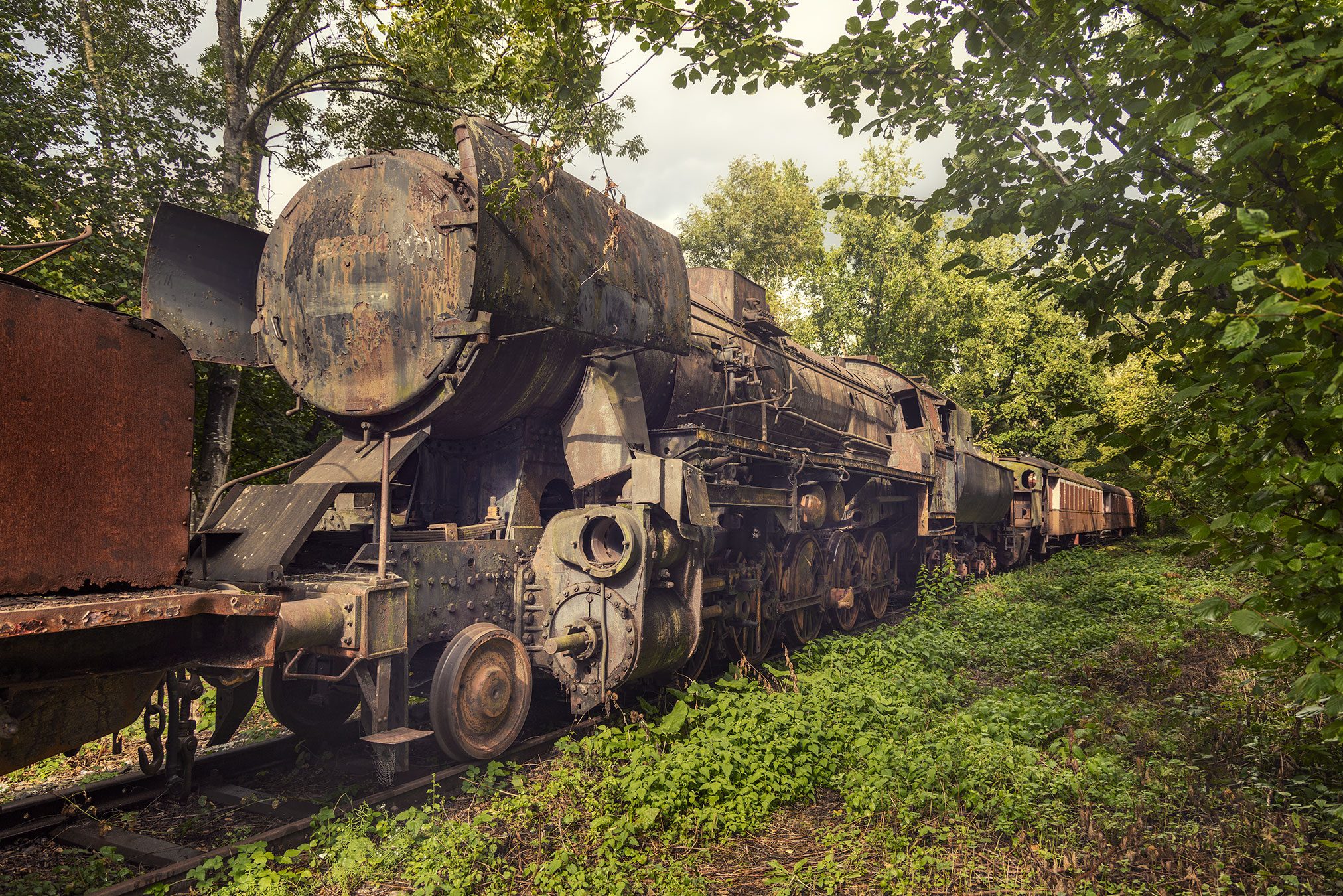 Rusting steam locomotive in the dense forest of the Ardennes, Belgium