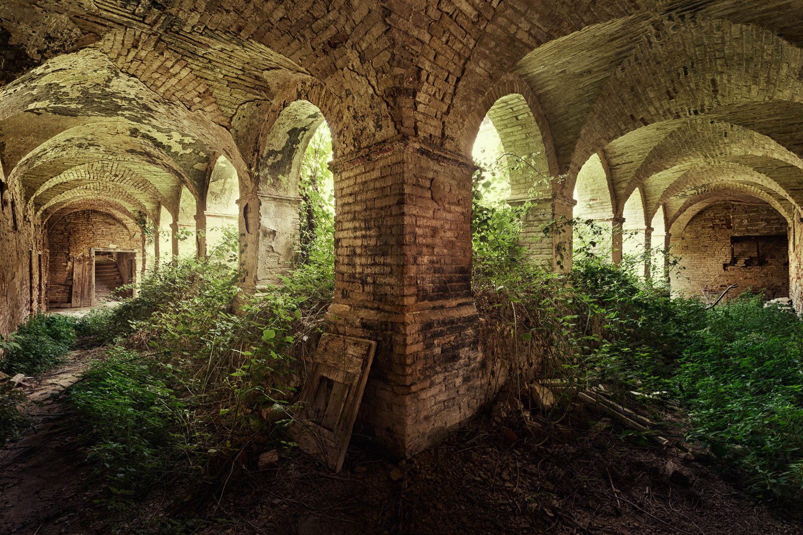Overgrown cloister of a monastery in Italy