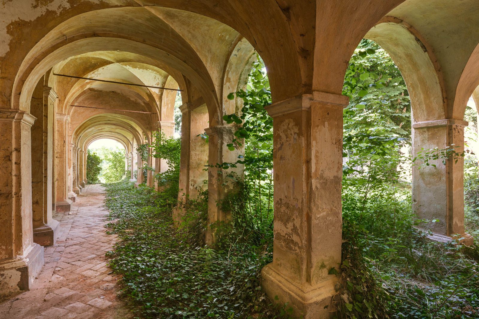 Overgrown cloister of a monastery in Italy