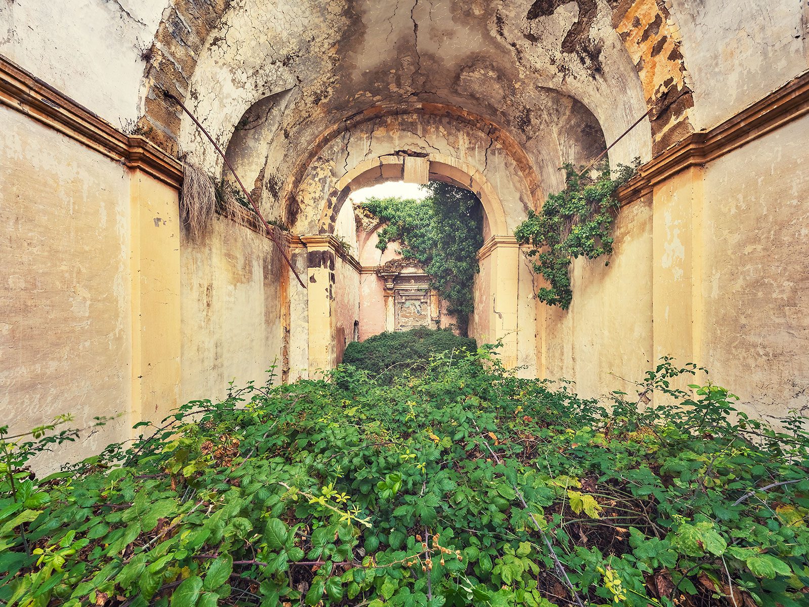 Überwucherte Kirchenruine in der Toskana, Italien