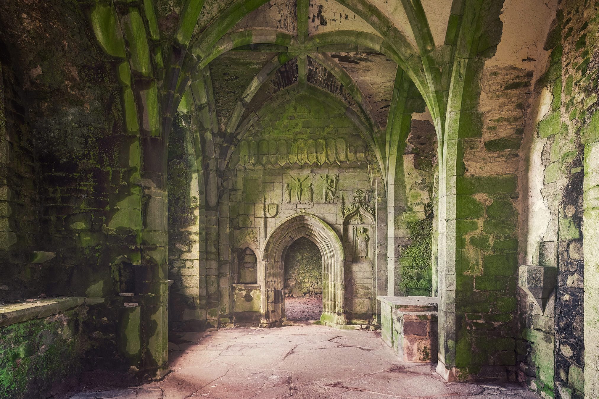 Abandoned abbey with moss covered vault in Ireland
