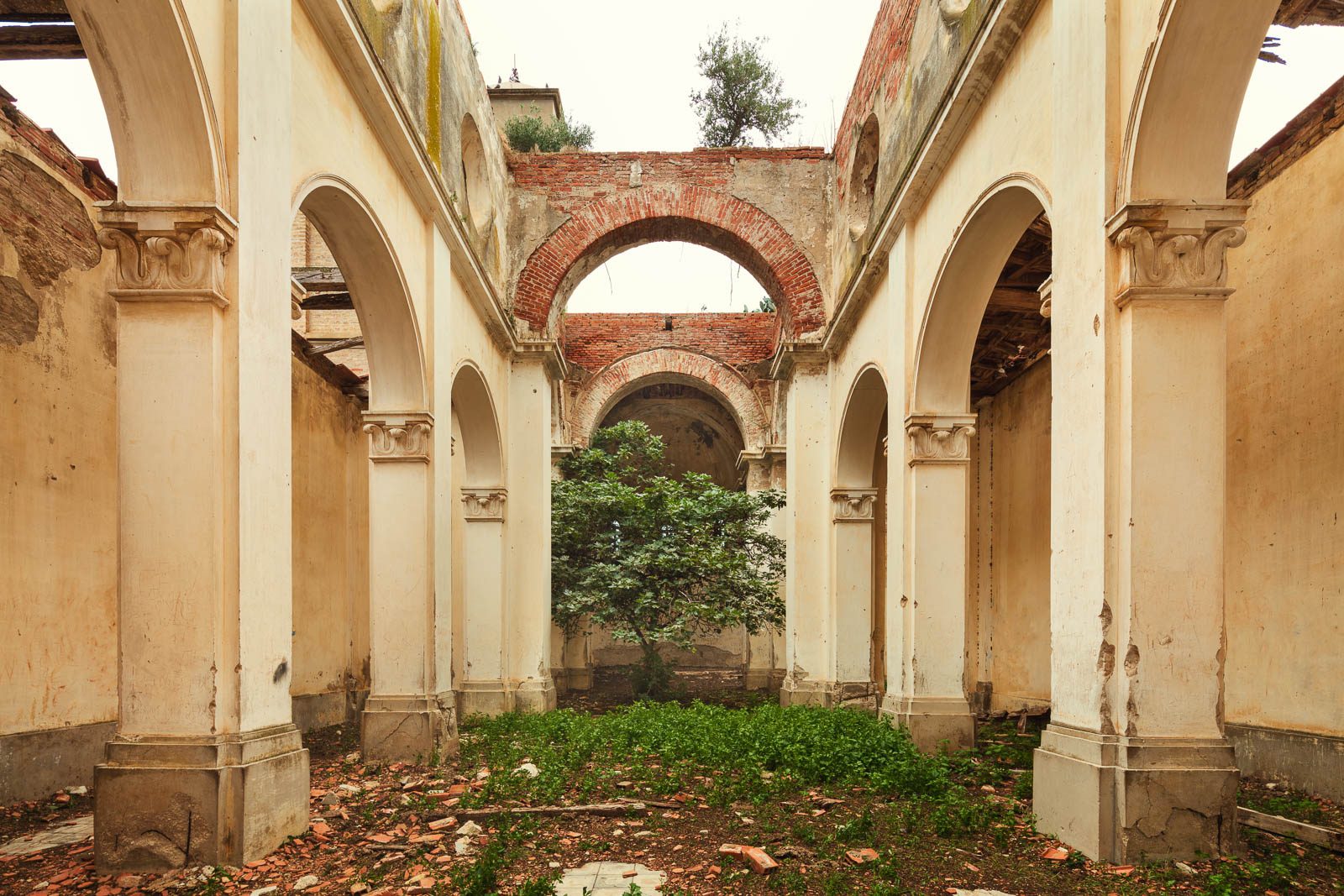 Roofless church ruin with a tree in the central aisle in Italy