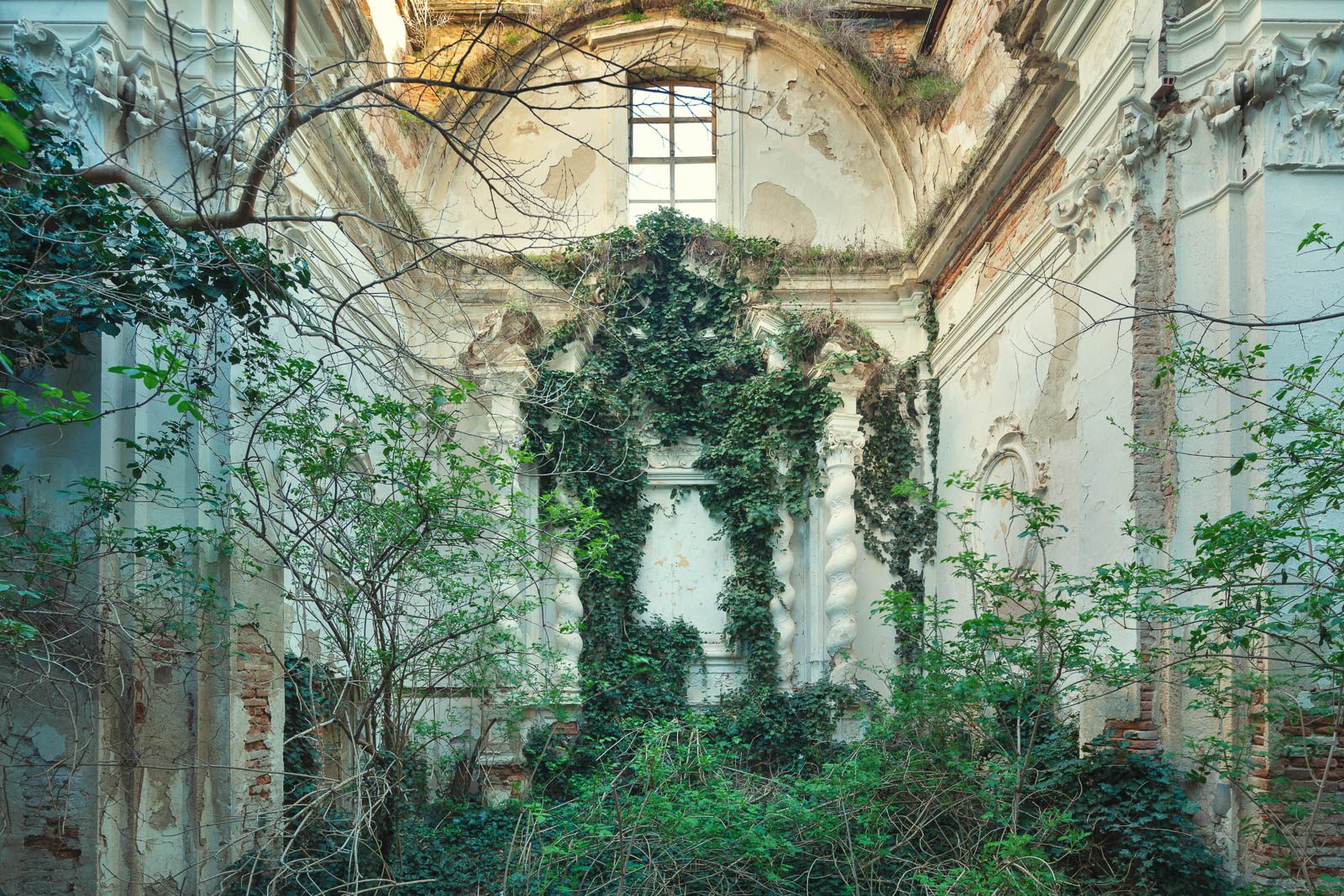 Overgrown church ruin in Italy