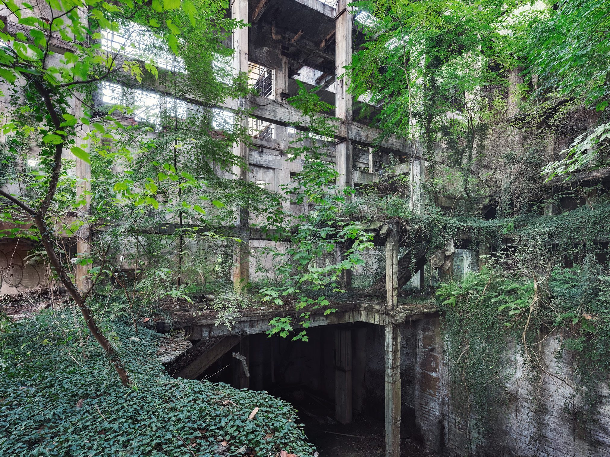 Tree-covered skeleton of a multi-storey factory in Italy