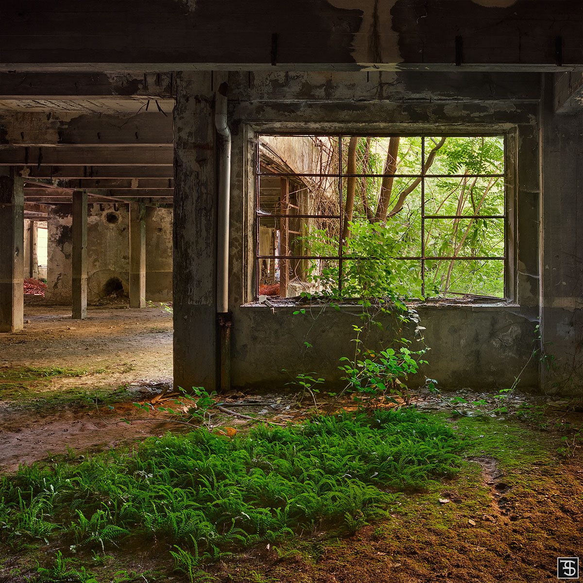 Blick durch ein Sprossenfenster auf ein moosbewachsenes Fabrikinneres in Italien