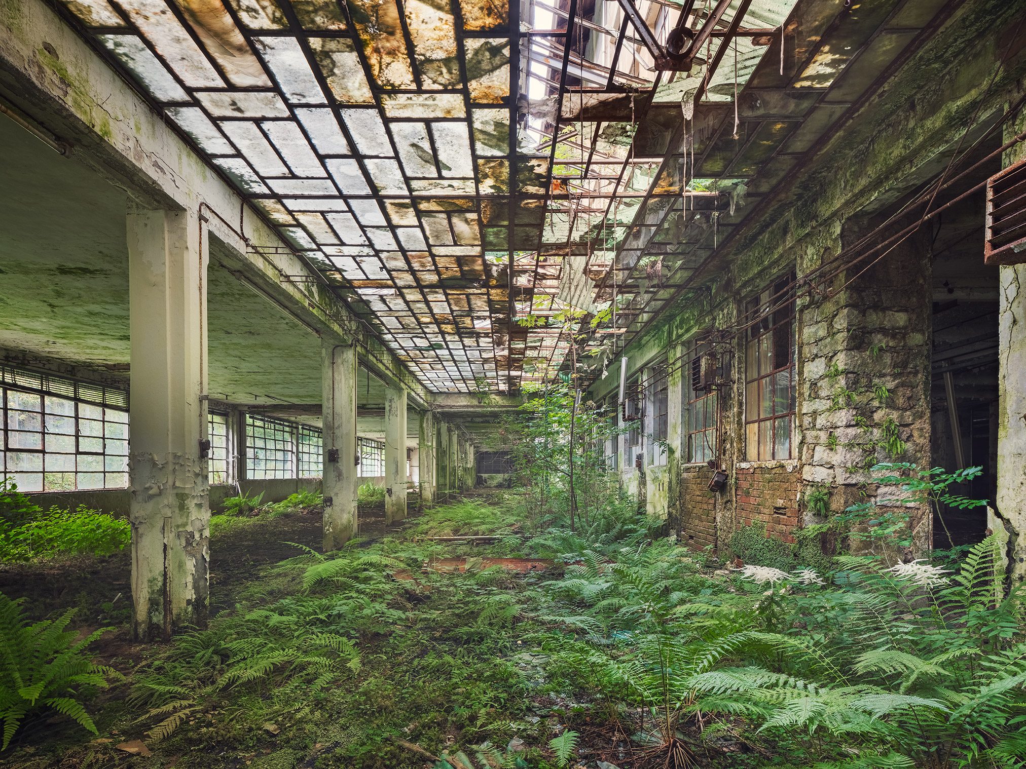 Fern-covered hall corridor of an old cotton mill in Italy