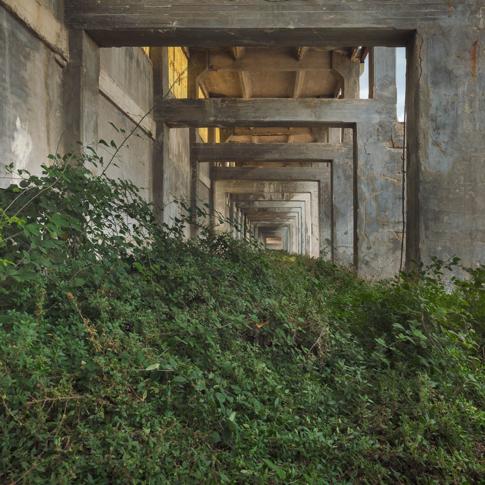 Repeating concrete frames above an overgrown slope on the Adriatic coast