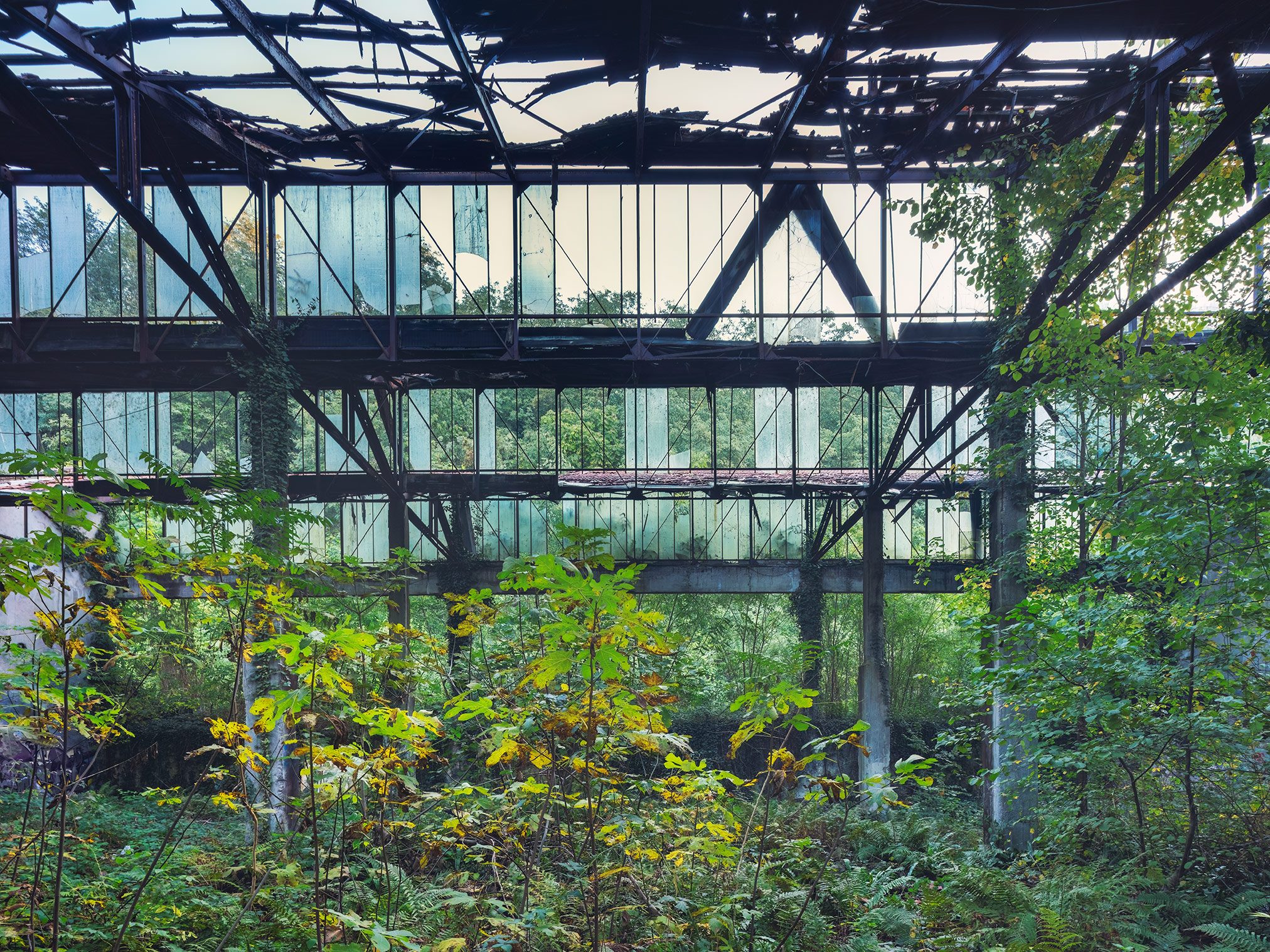 Trees grow inside a multi-storey factory with a glazed façade in Italy
