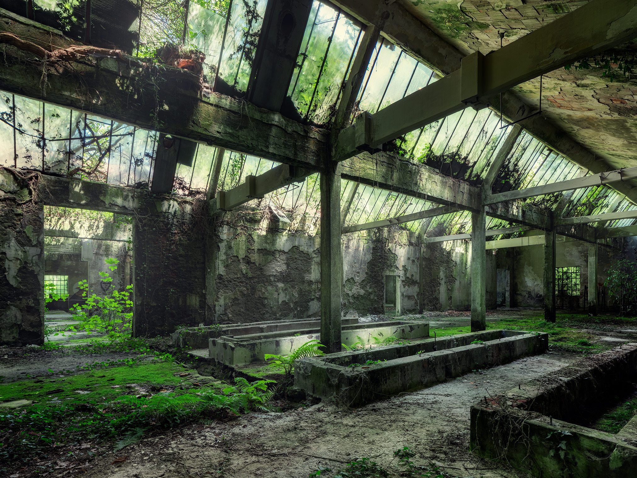 Green, muted light through a moss-covered glass roof in a former explosives factory in Italy