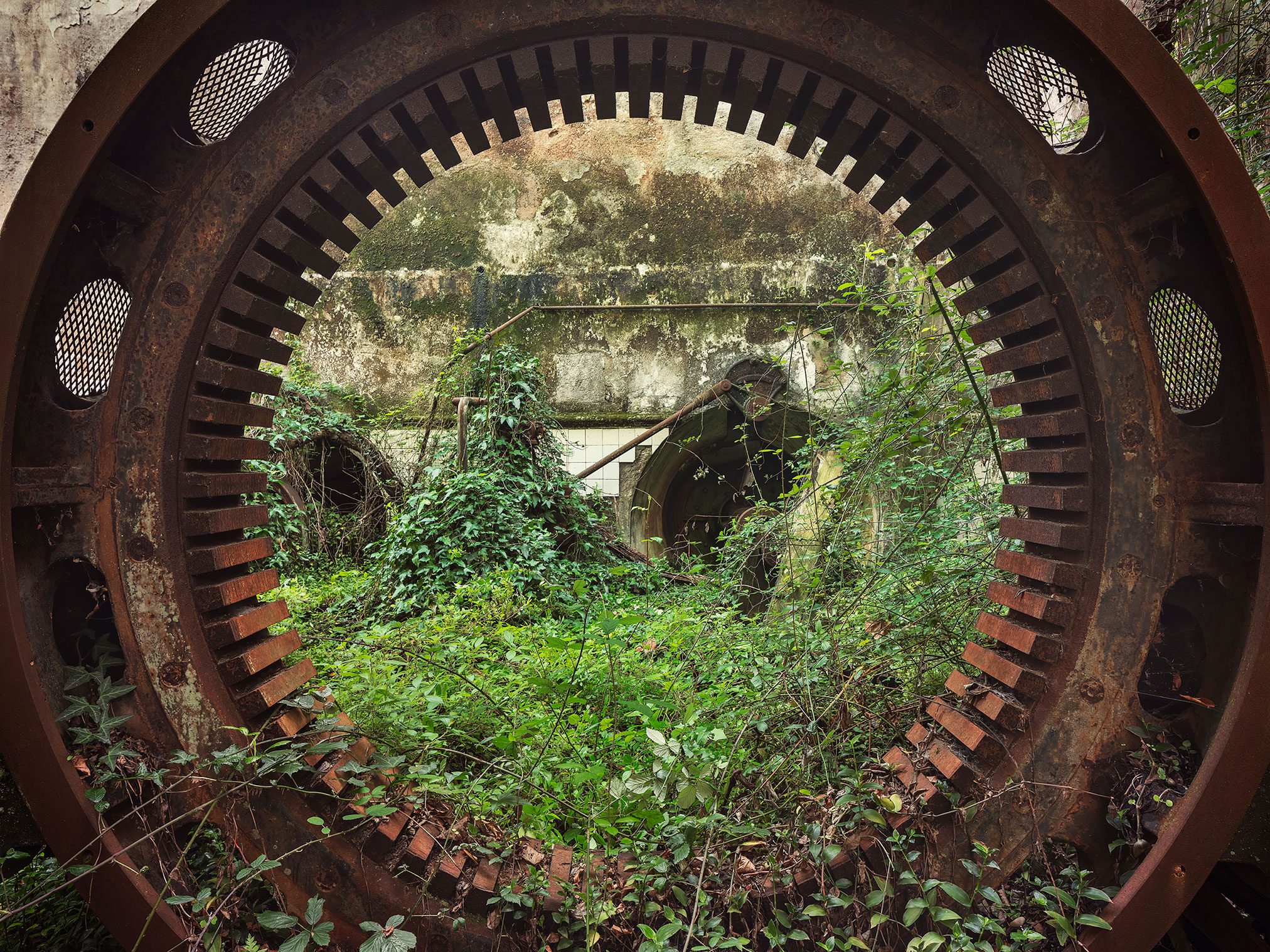 Blick durch ein überwuchertes Zahnrad in einem Wasserkraftwerk in Portugal
