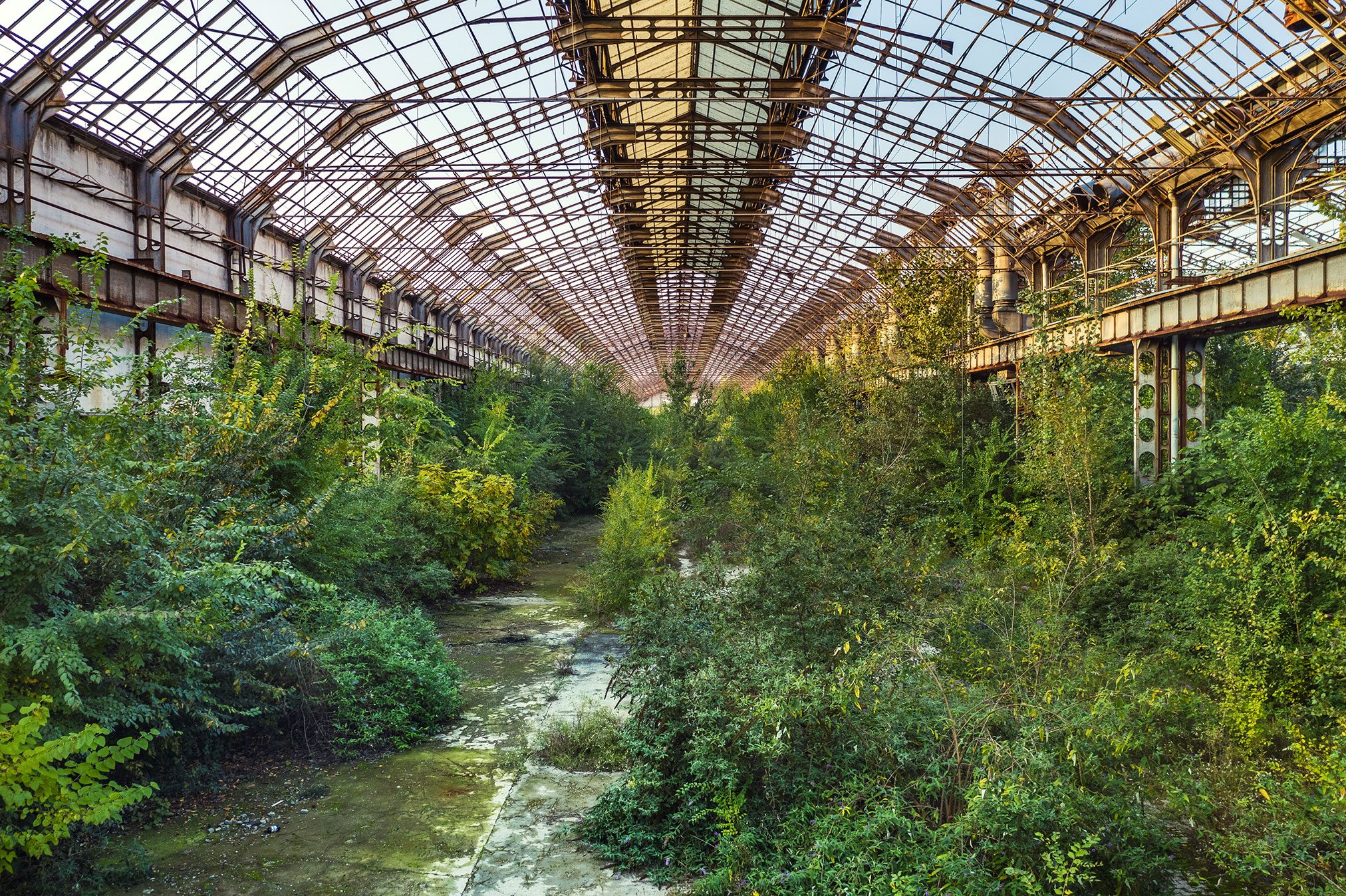 Wald aus jungen Bäumen füllt eine große Fertigungshalle in Mailand, Italien