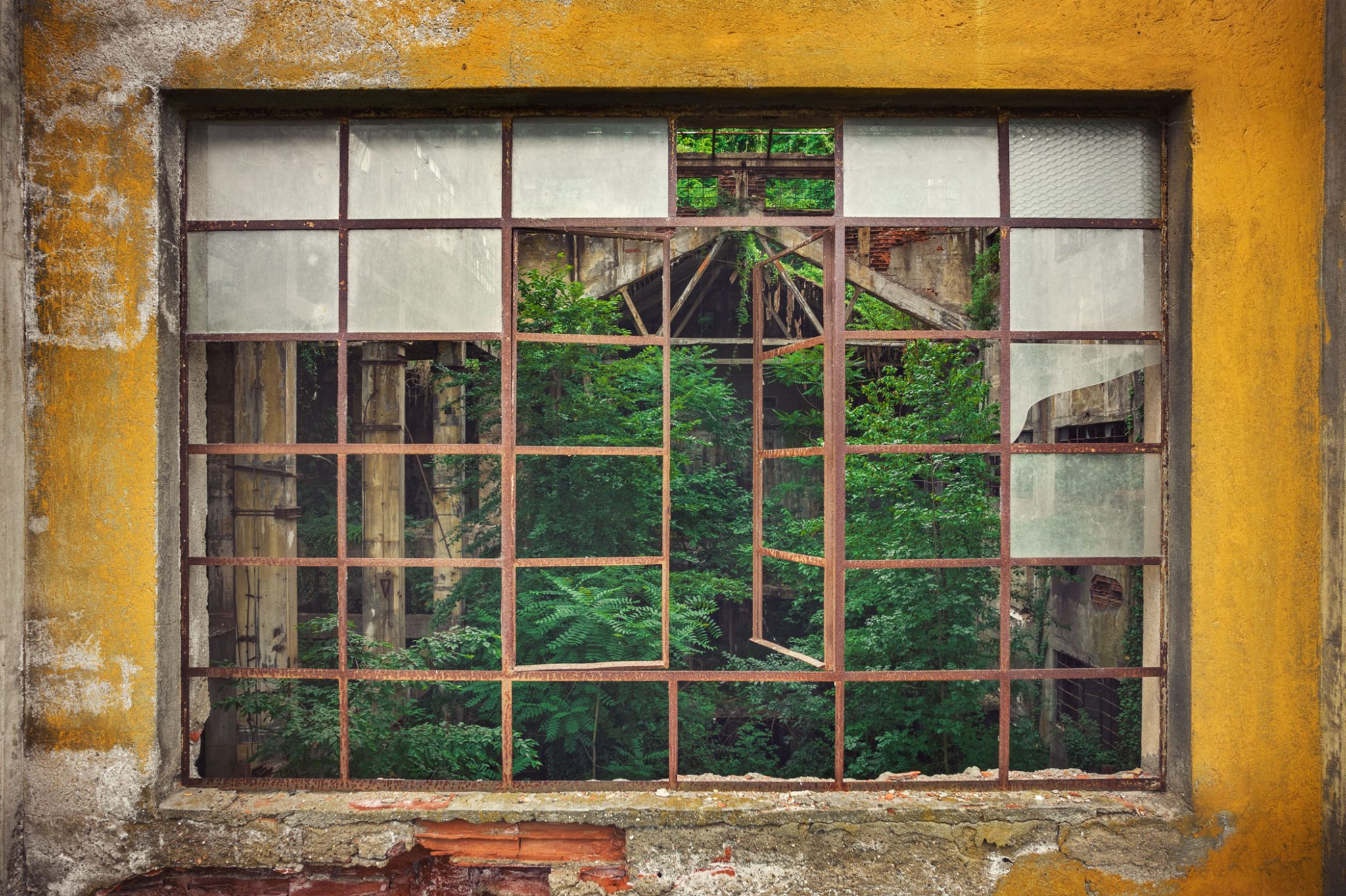 Blick durch ein Sprossenfenster in einer ockerfarbenen Wand auf eine überwucherte Fabrikhalle in Italien