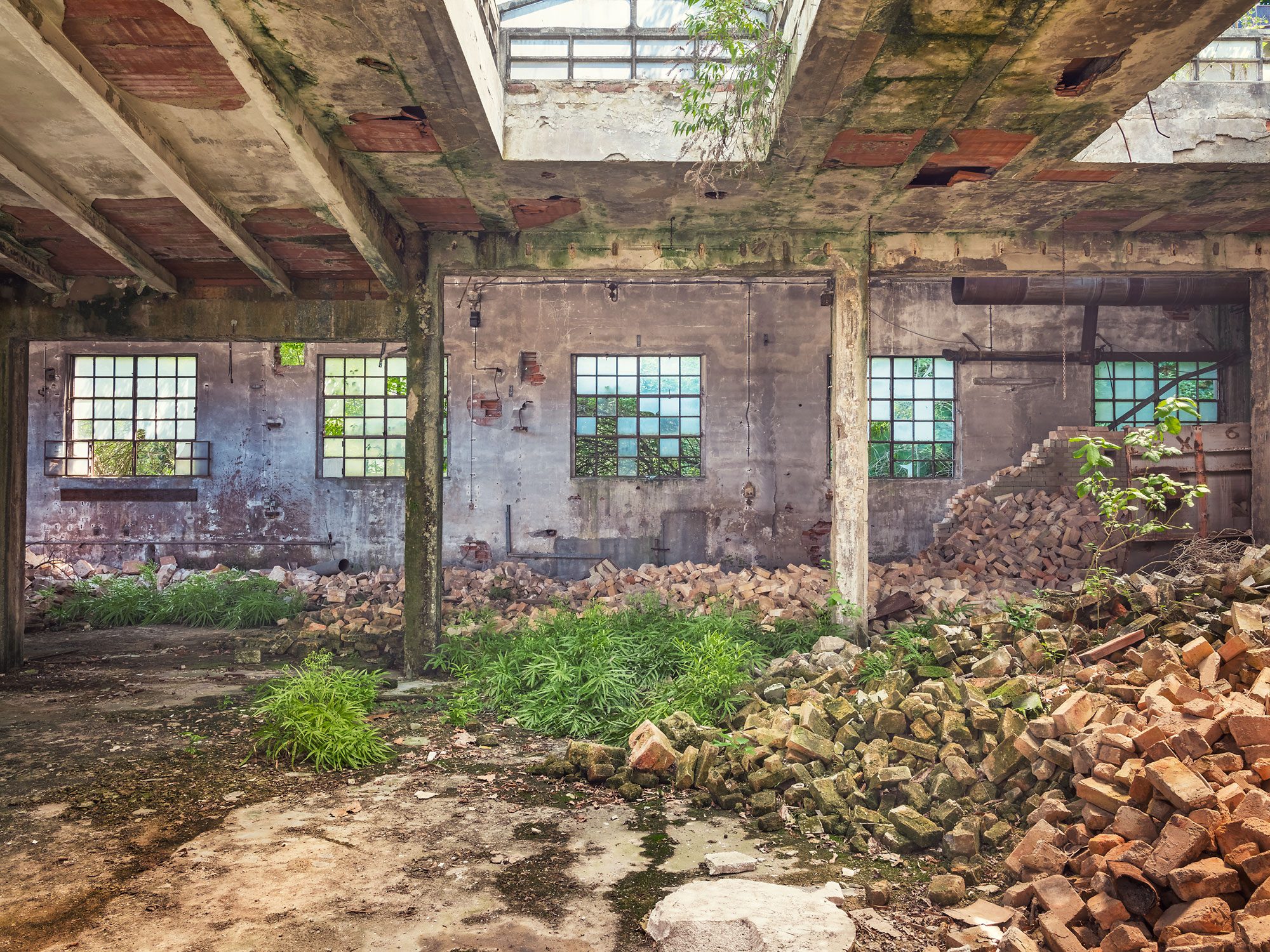 Young plants grow among brick rubble in an old ceramics factory in Italy