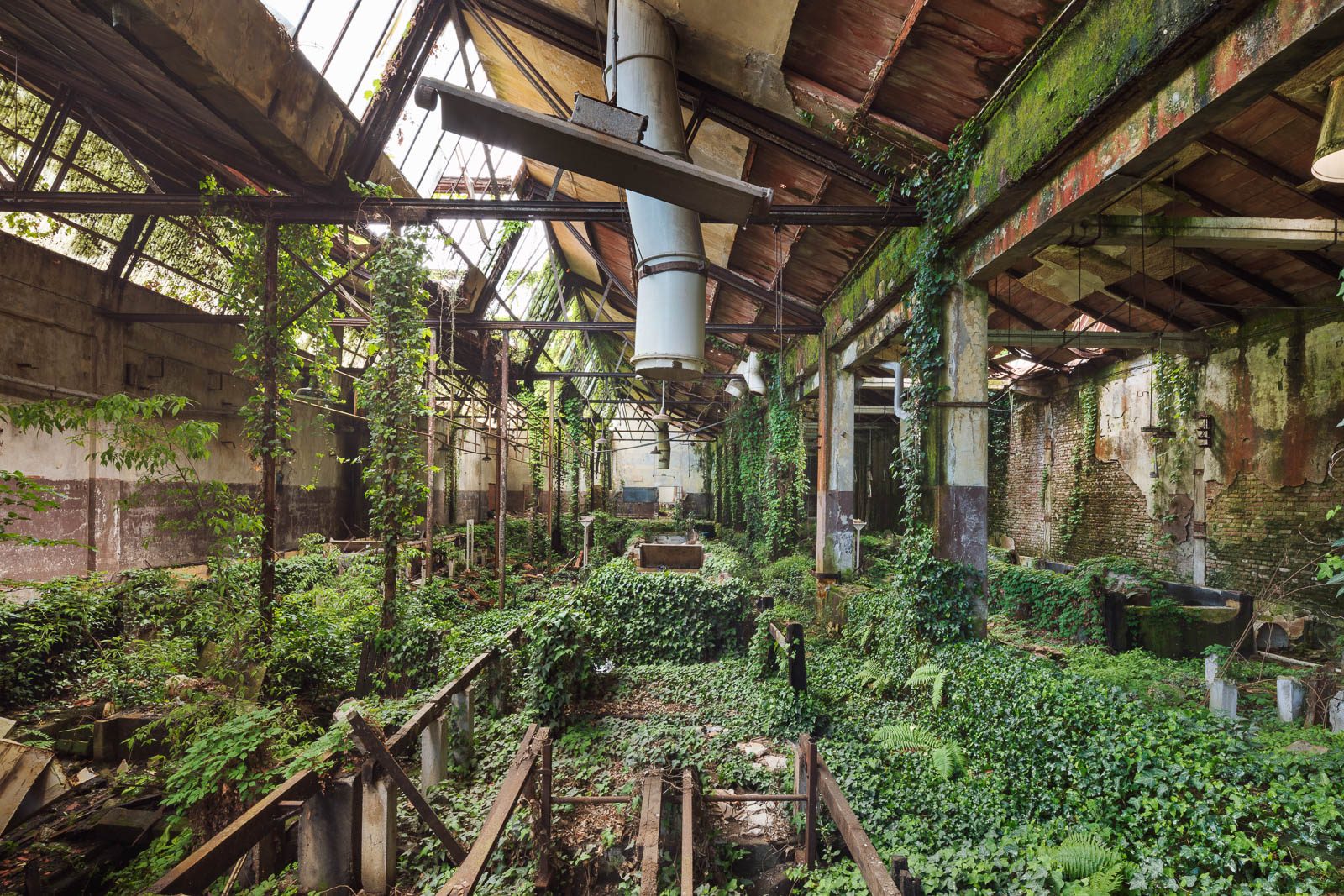 Ivy overtakes a hall with a glass roof and metal tracks in Italy