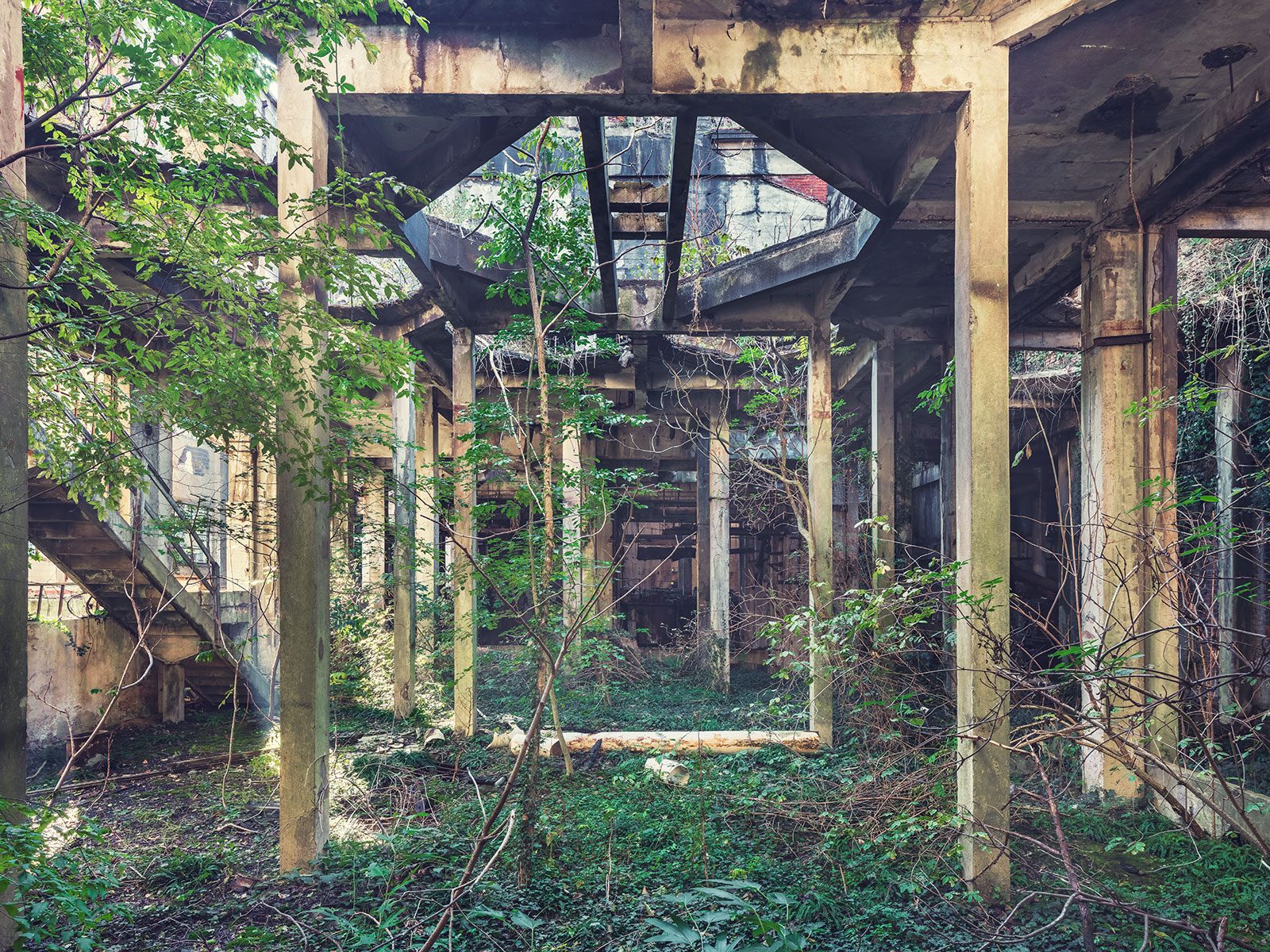 Geometric concrete frames and young trees in an old paper mill in Italy