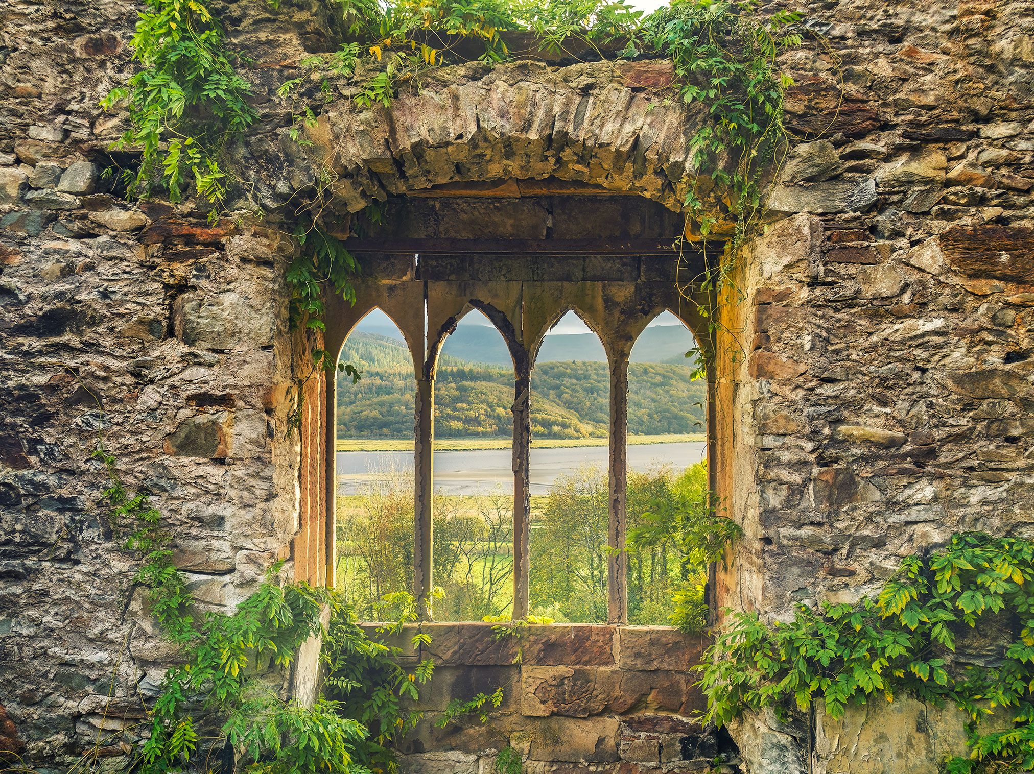 Blick durch ein bewachsenes gotisches Fenster auf ein Flusstal in der Ruine eines noblen Hotels in Wales