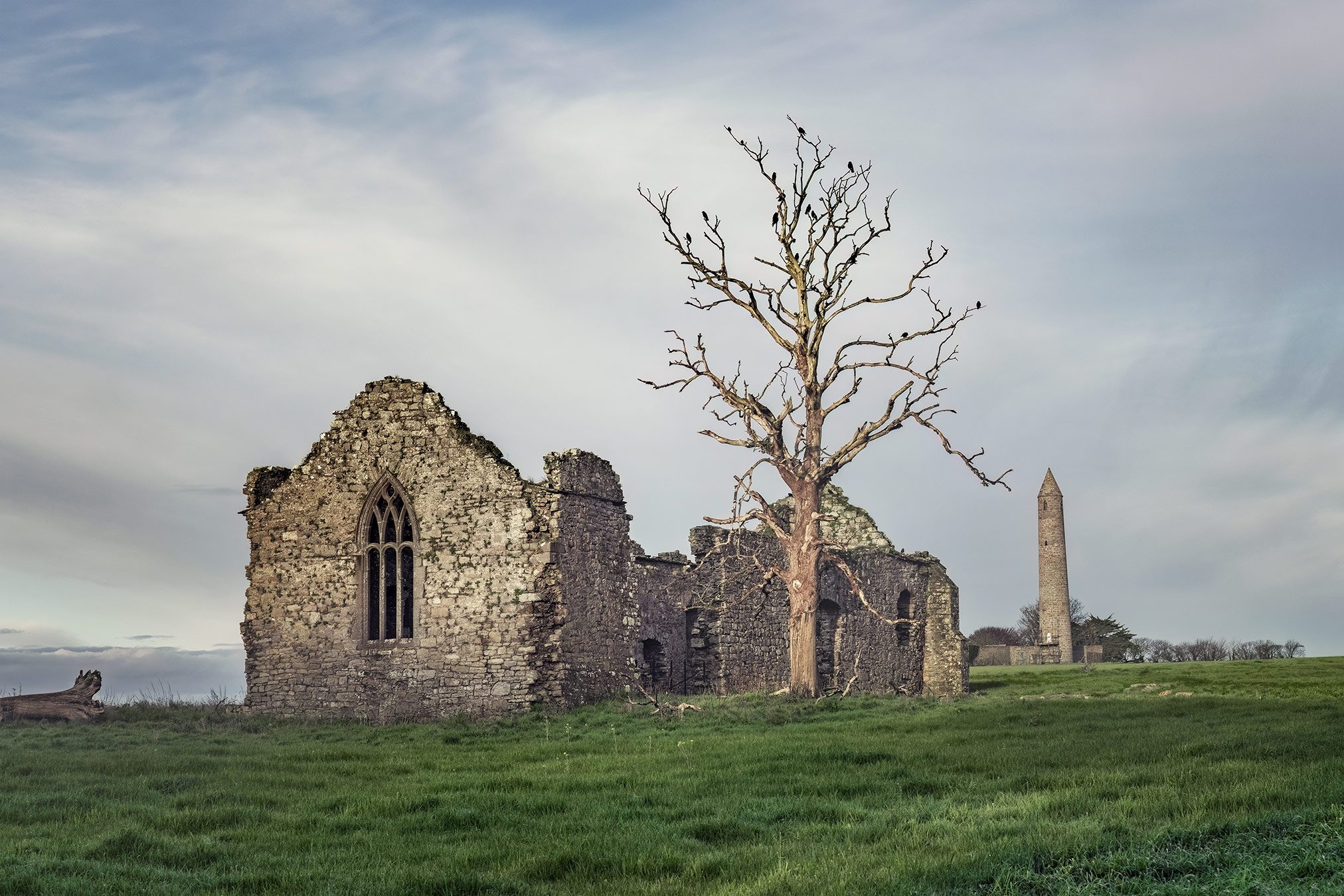Kirchenruine mit gotischem Fenster und rundem Turm, Irland