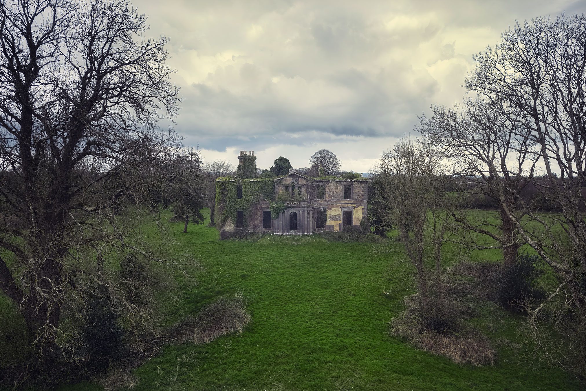 Efeuüberwachsenes Herrenhaus zwischen kahlen Bäumen, Irland