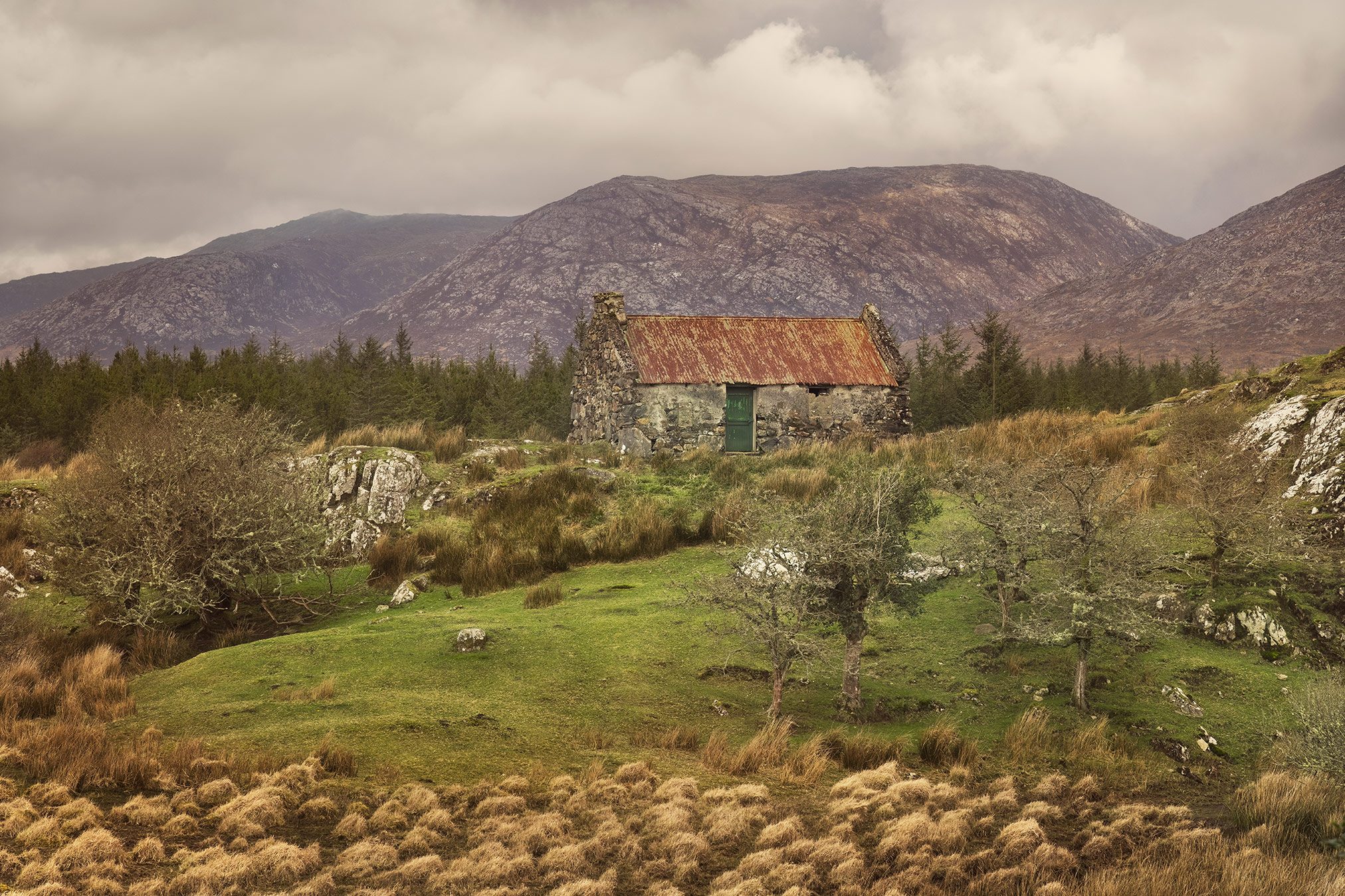 Steinhütte mit rostigem Wellblechdach am Waldrand, Irland